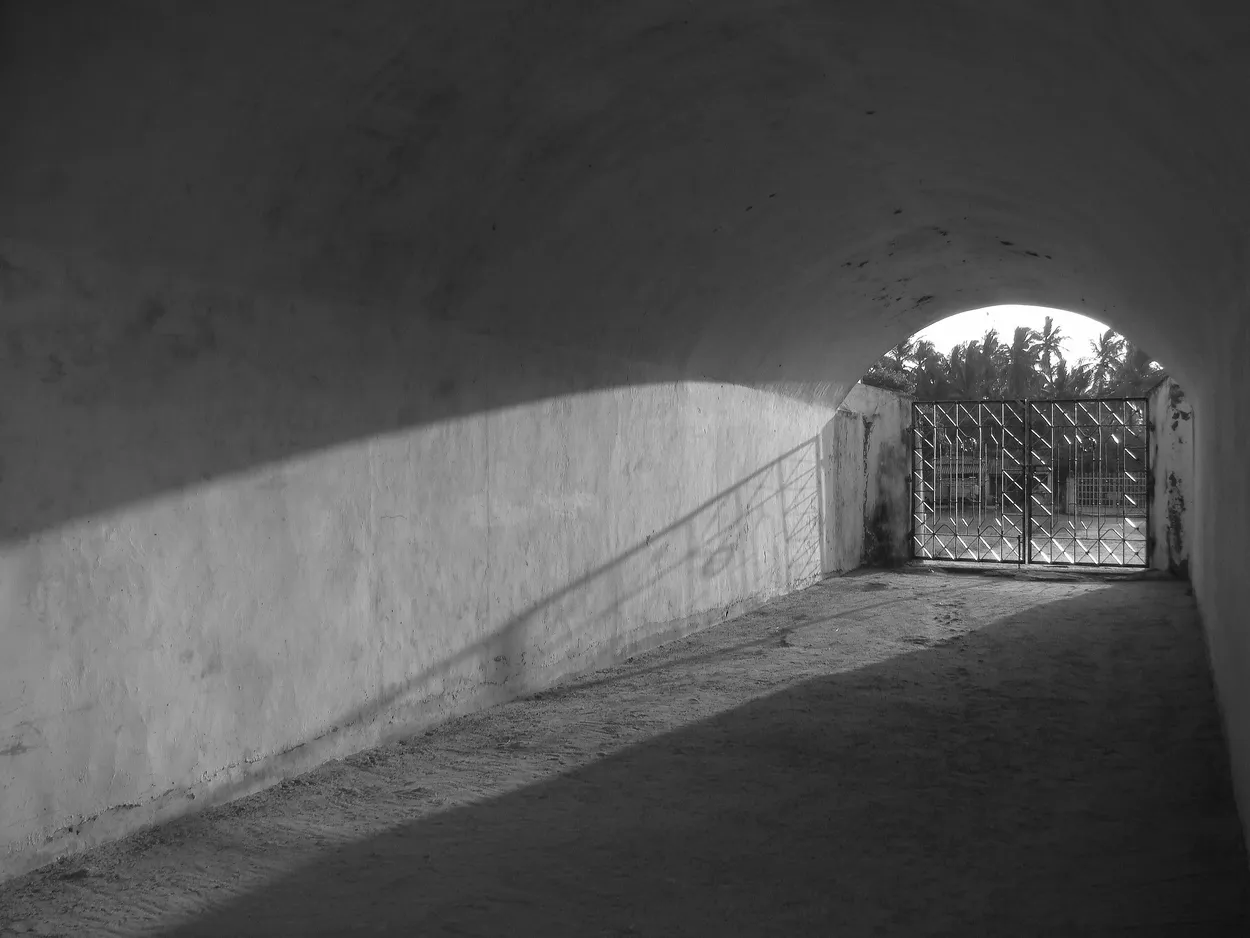 Entry 20834704
