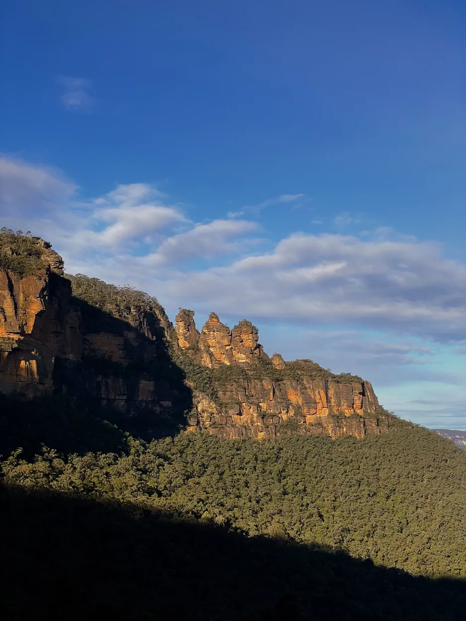 Entry 20836803