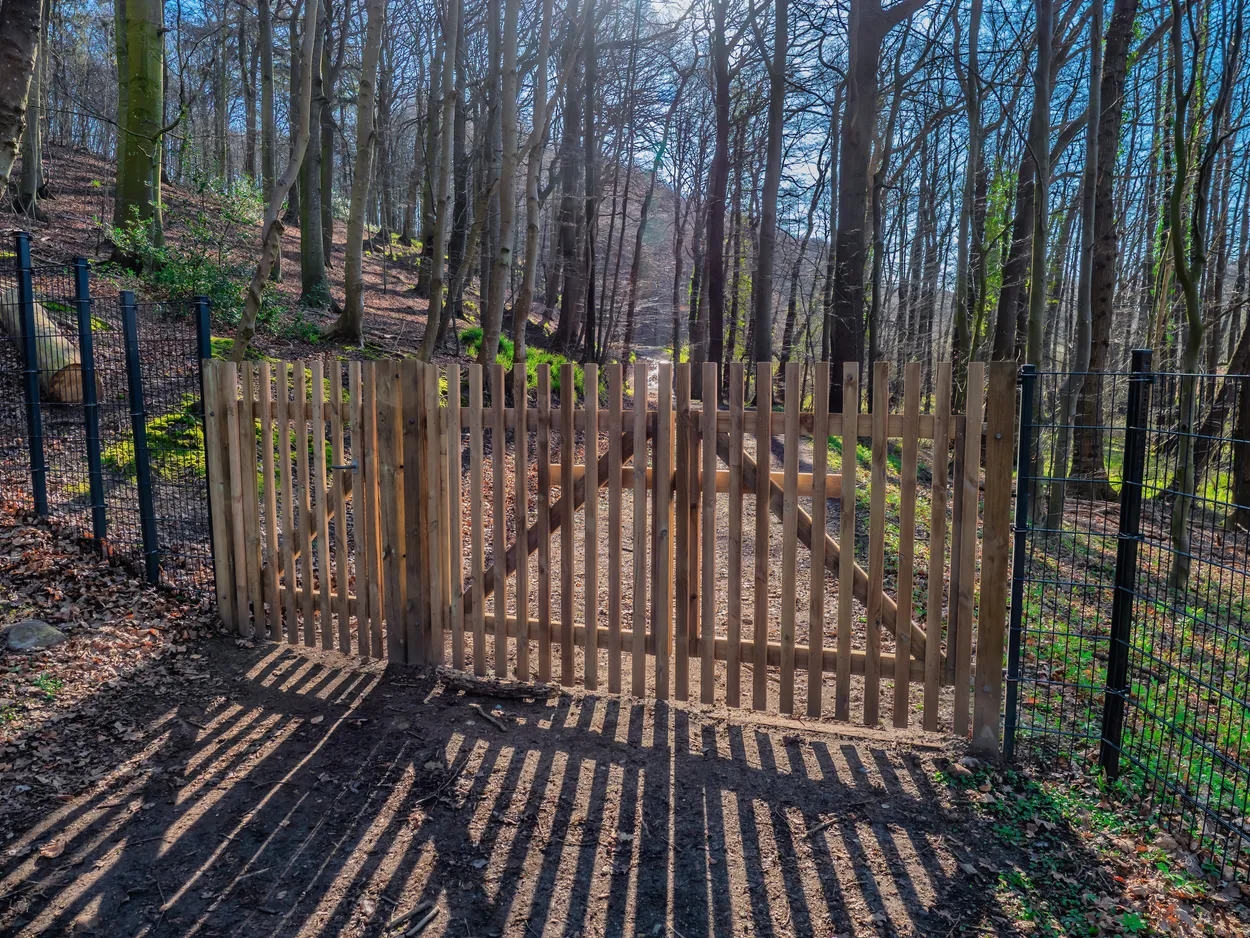 Entry 20839240