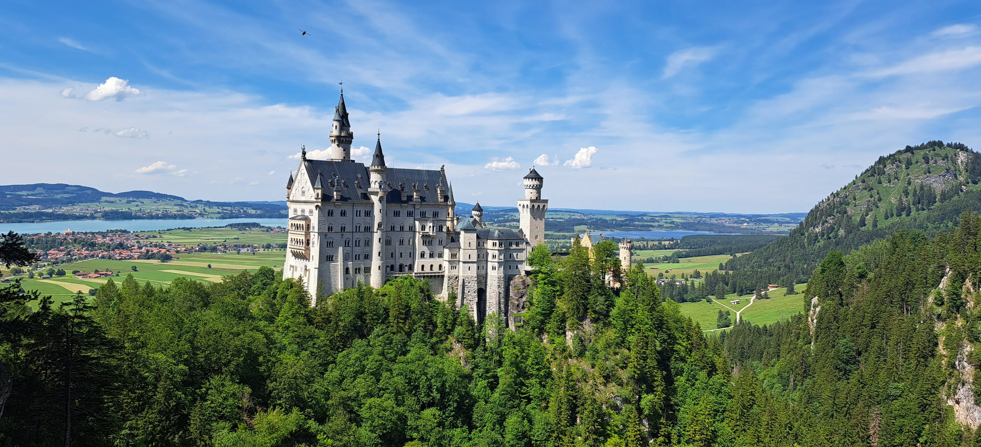 Disneys Castle?