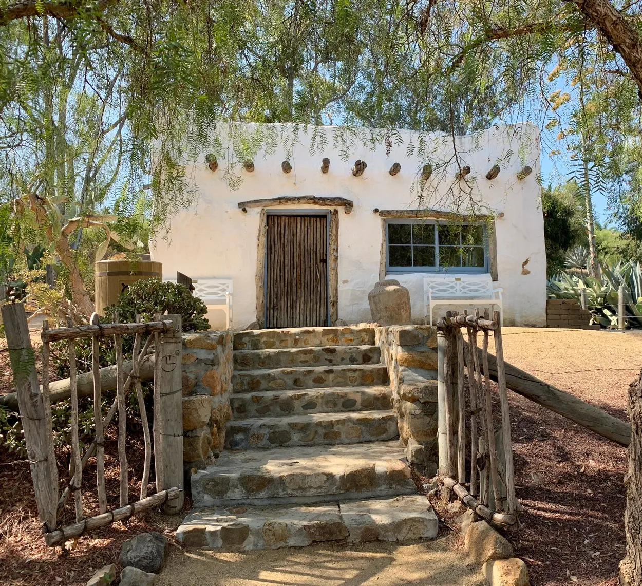 Entry 21642649