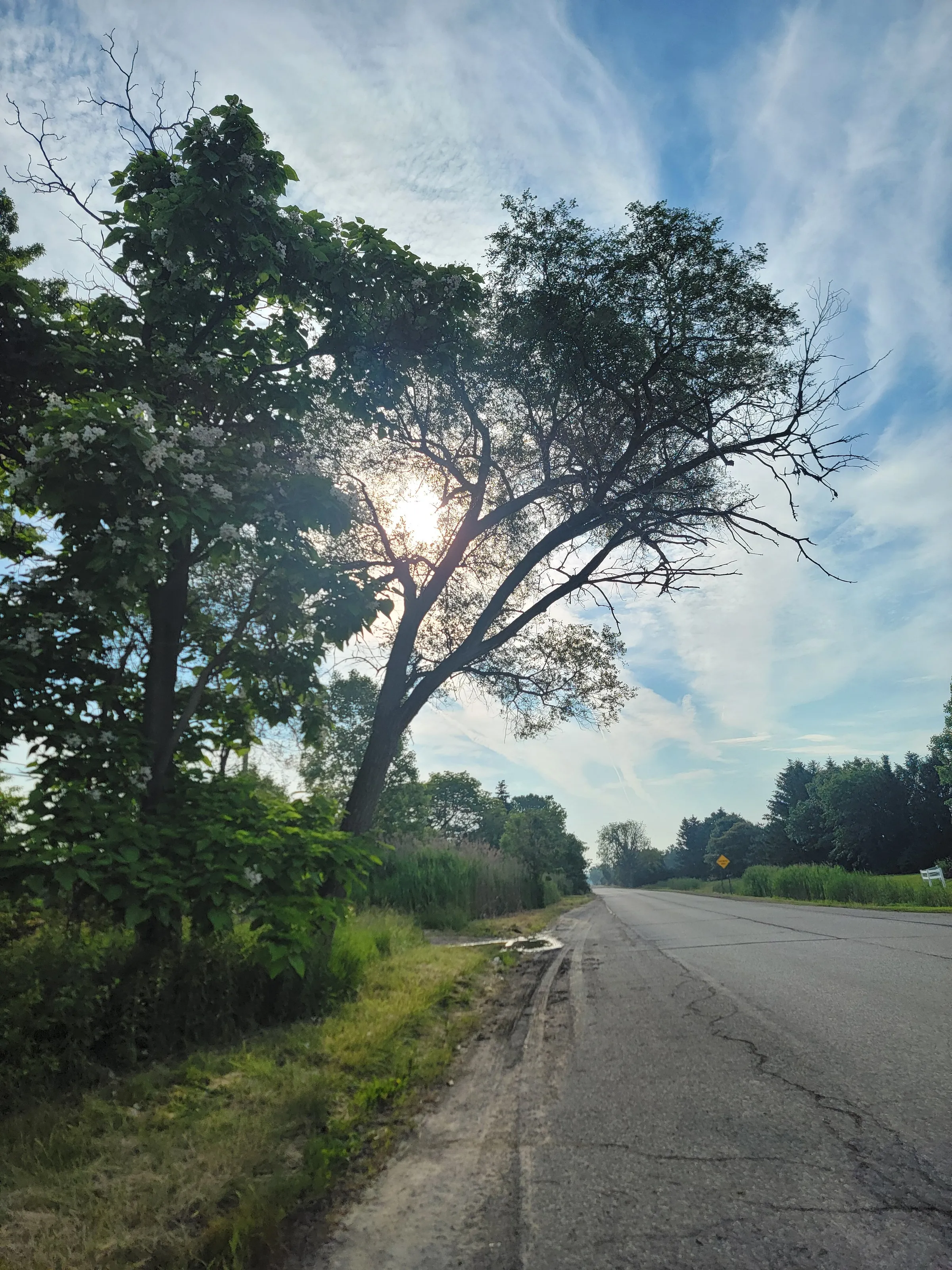 Heading East
