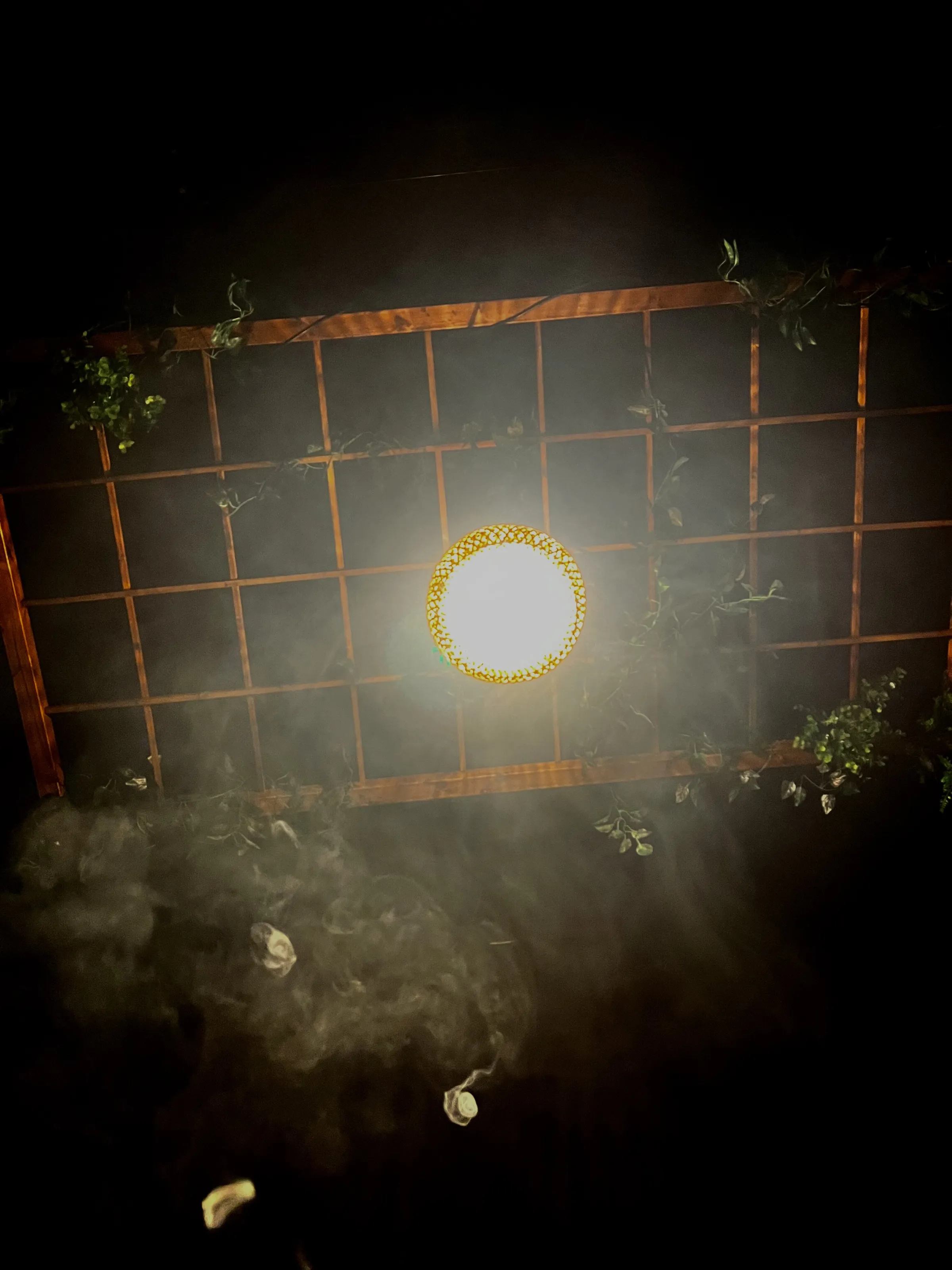 Banner image