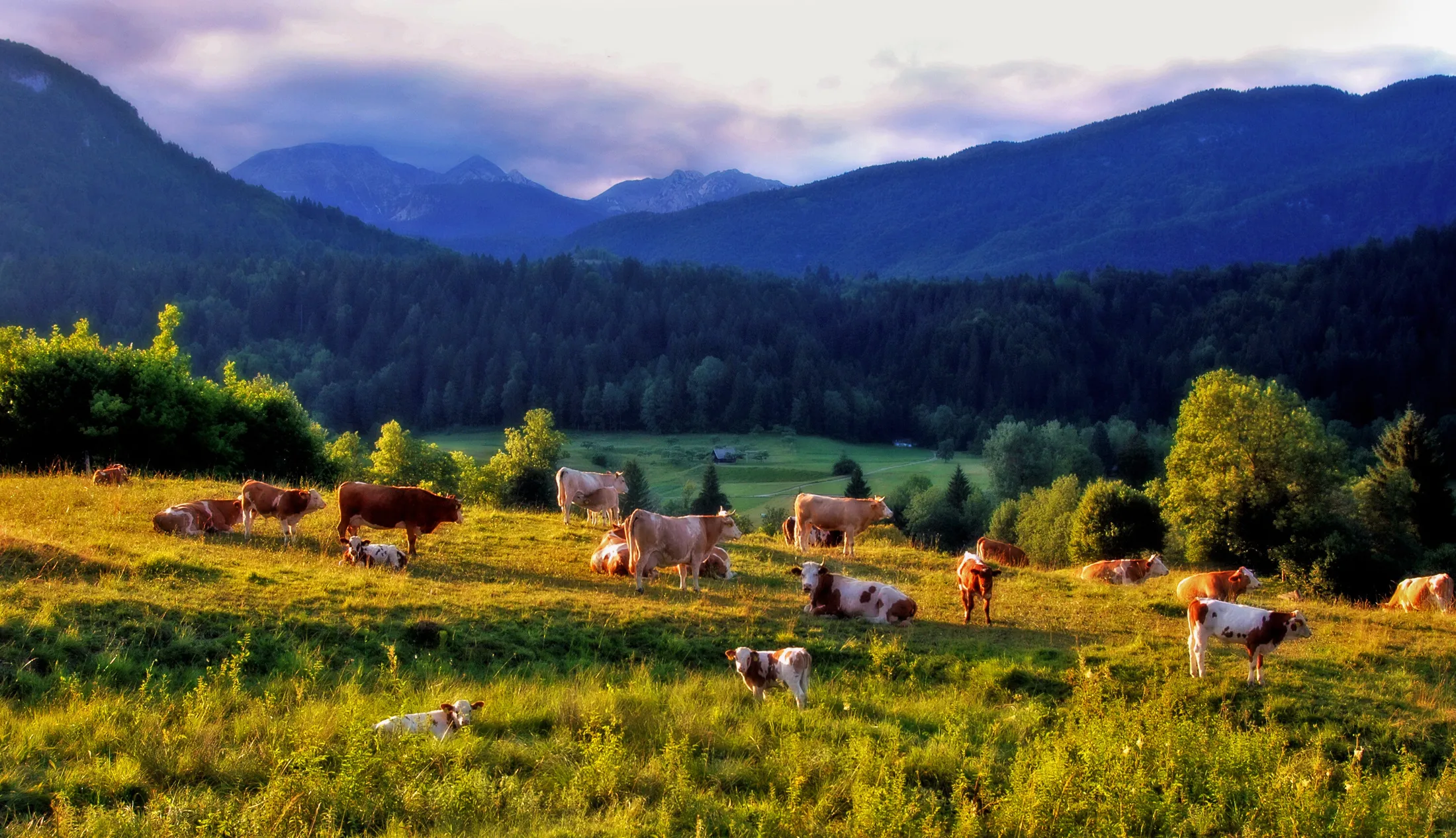 Entry 90400