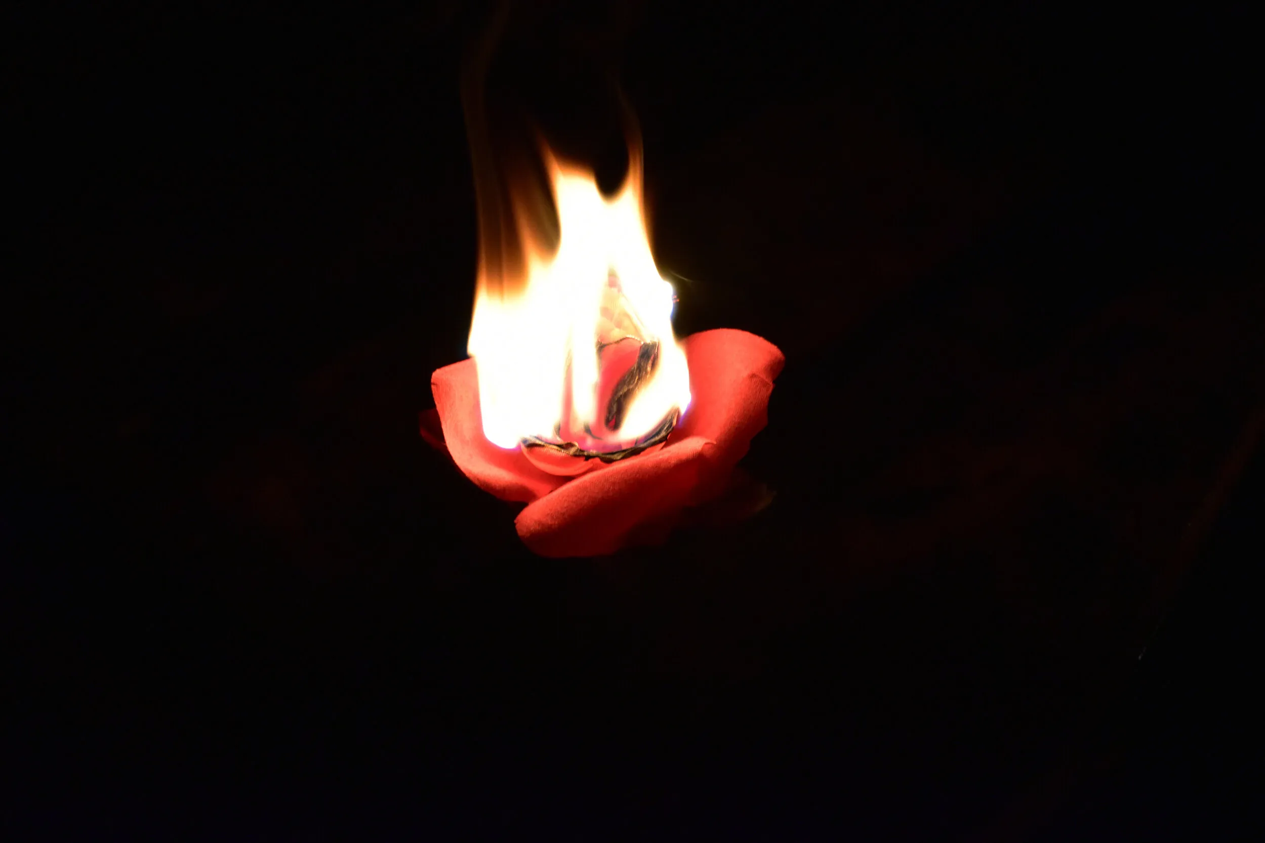 Love on Fire