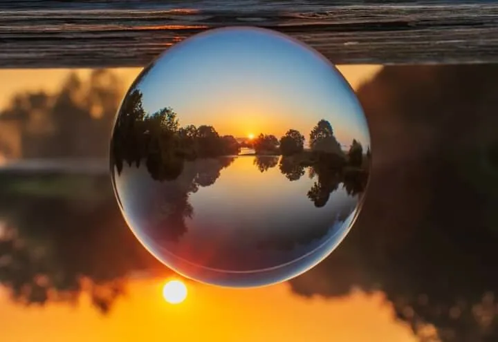 Entry 20903946