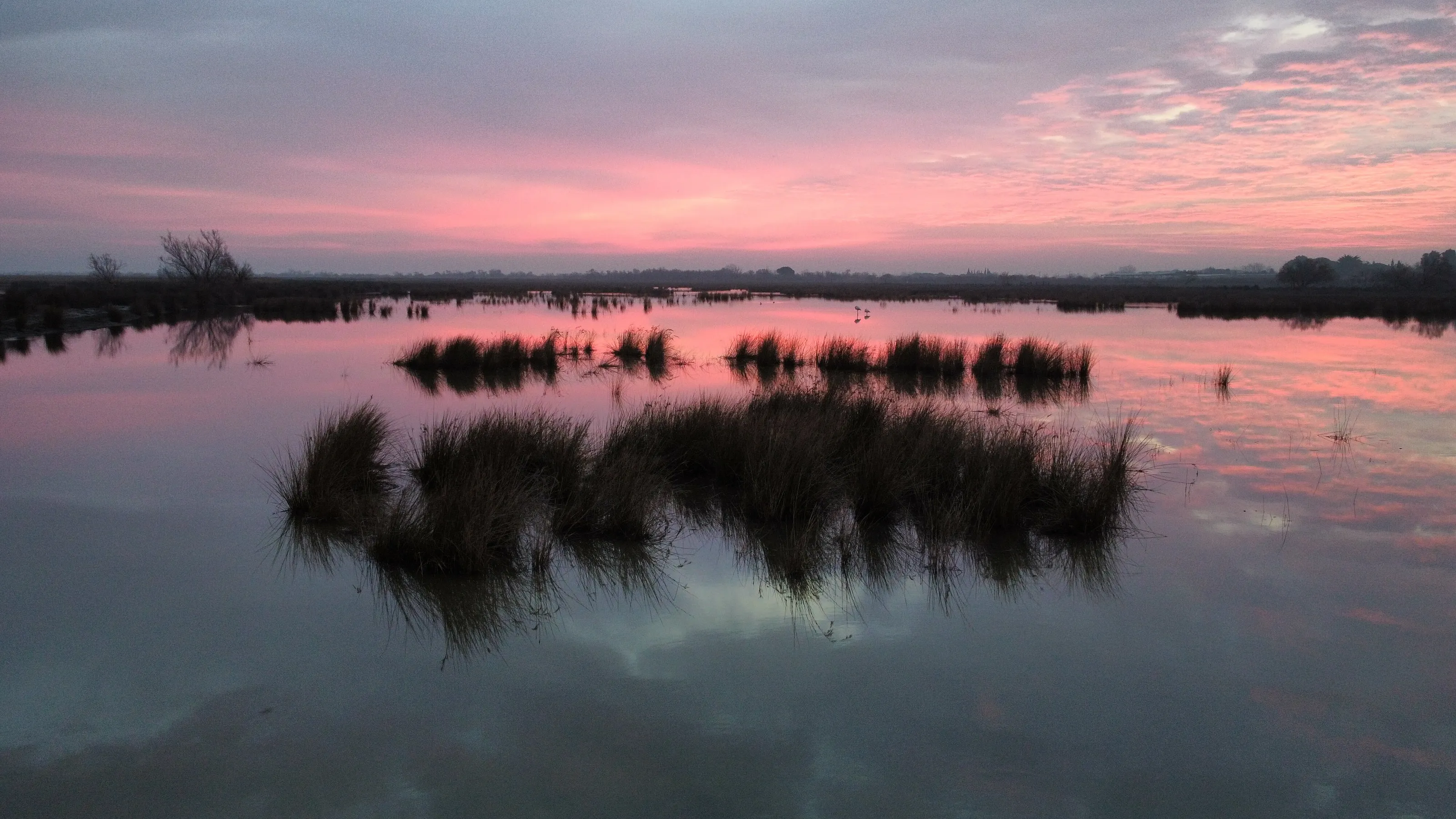 Lever de soleil en Camargue