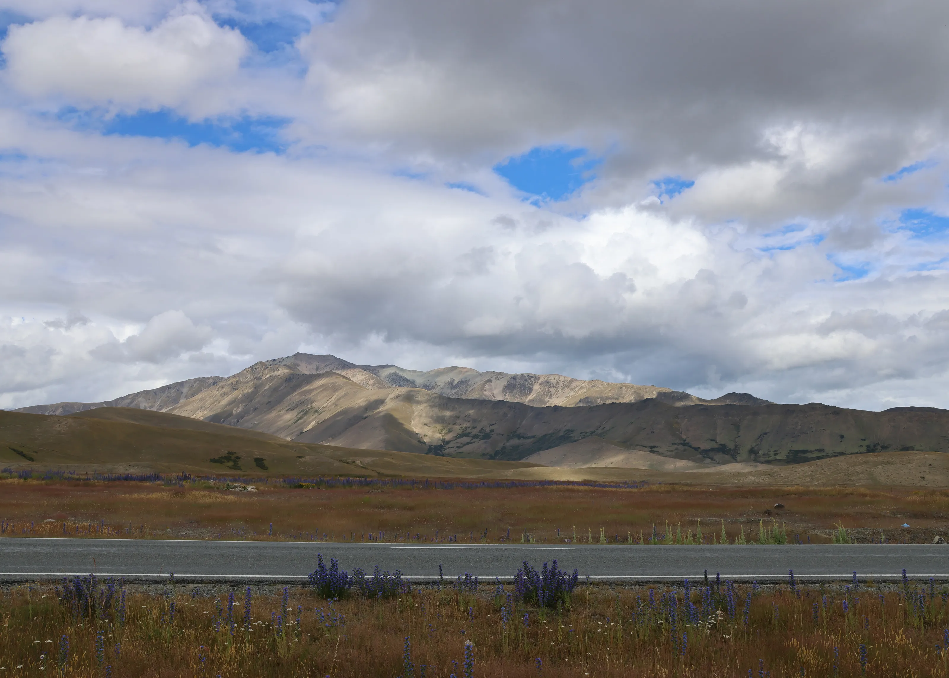 Canterbury Country, NZ