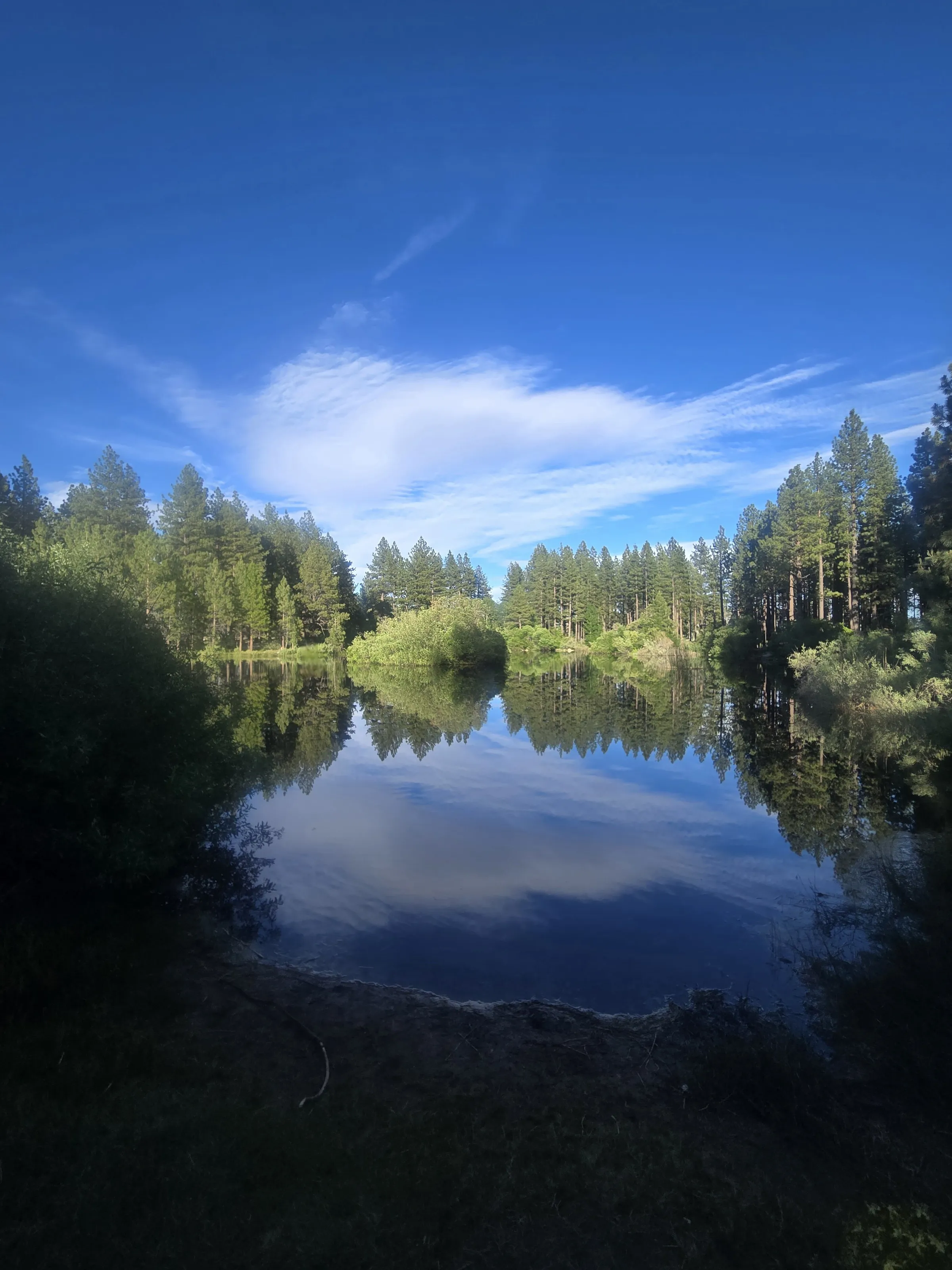 Davis Creek Pond