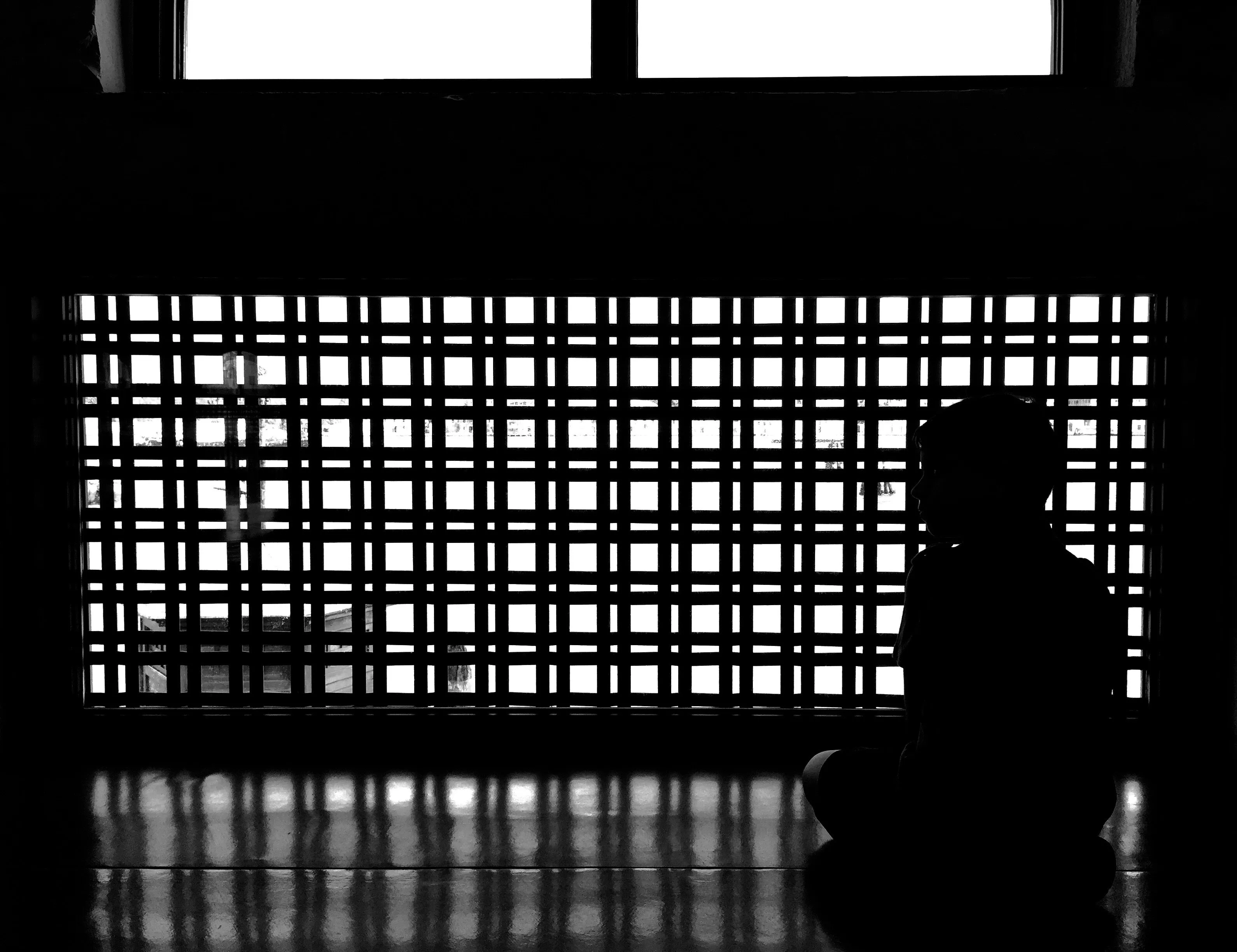 Looking Through the Window