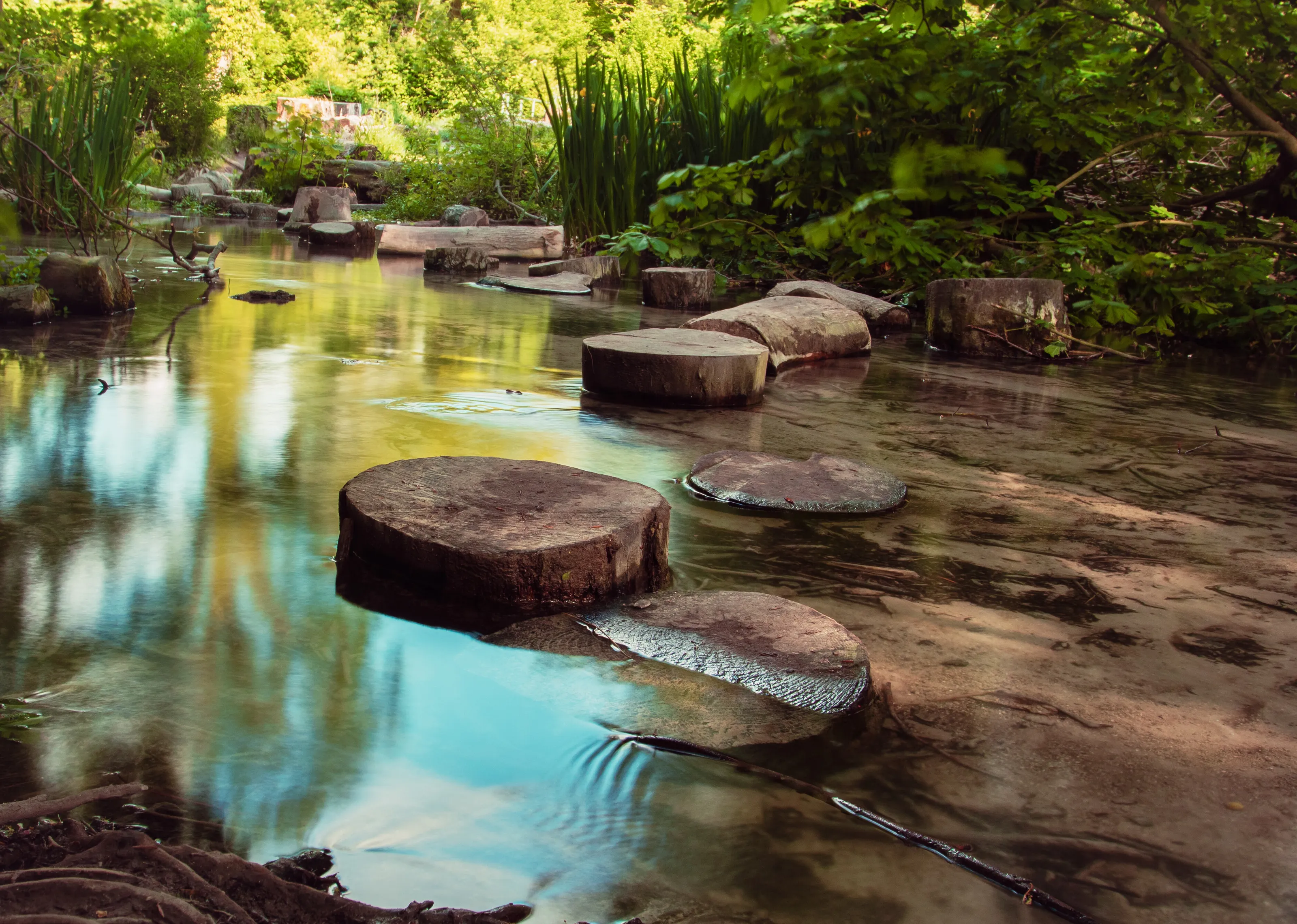 Milky water