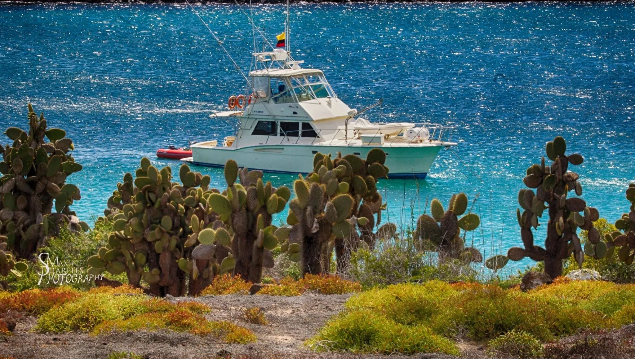 Galapagus Islands