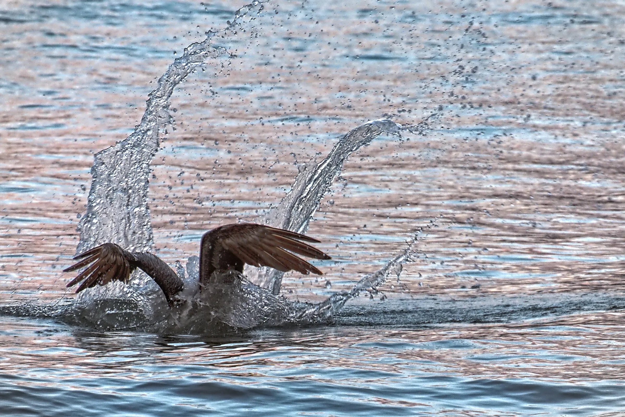 The Big Splash.