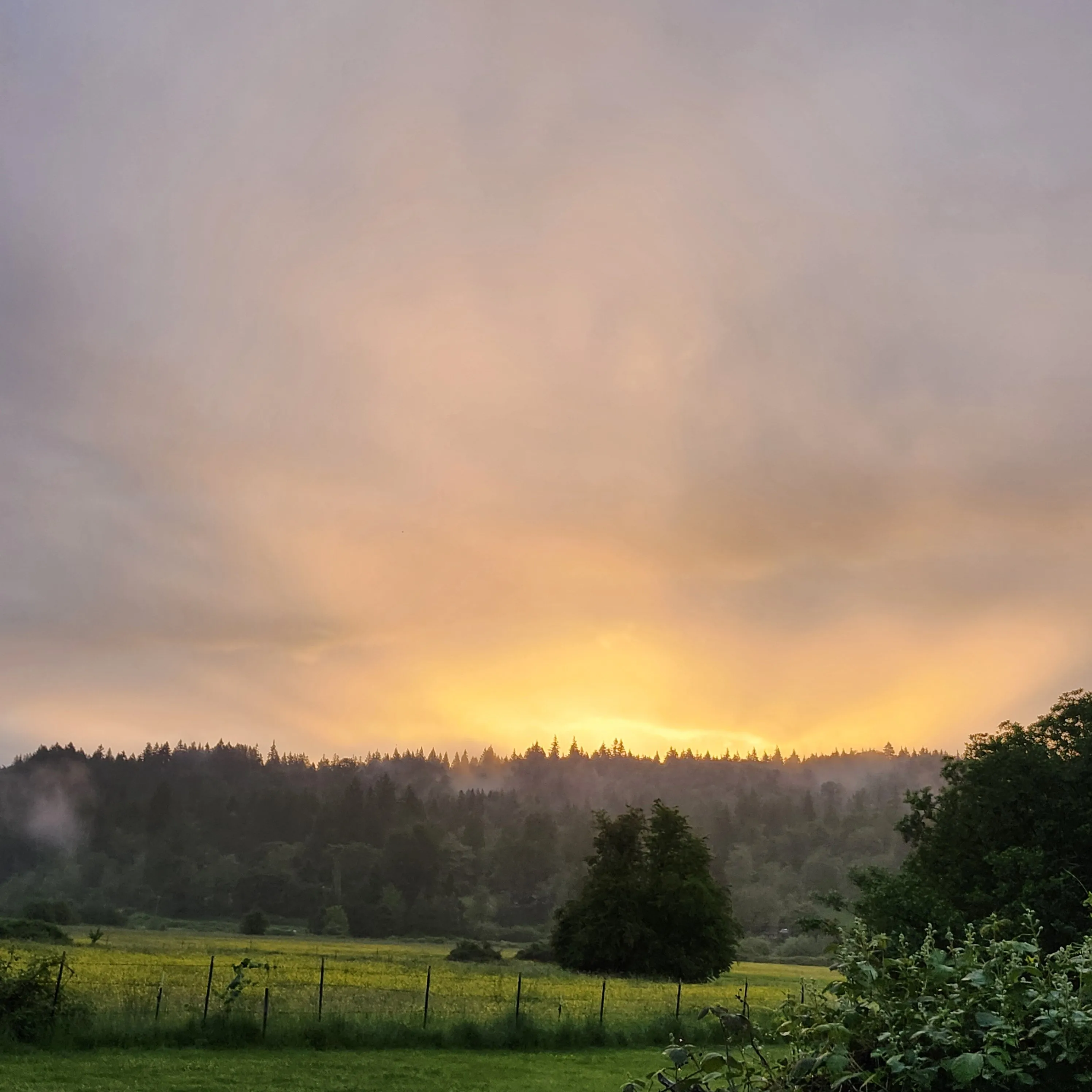 Early sunrise