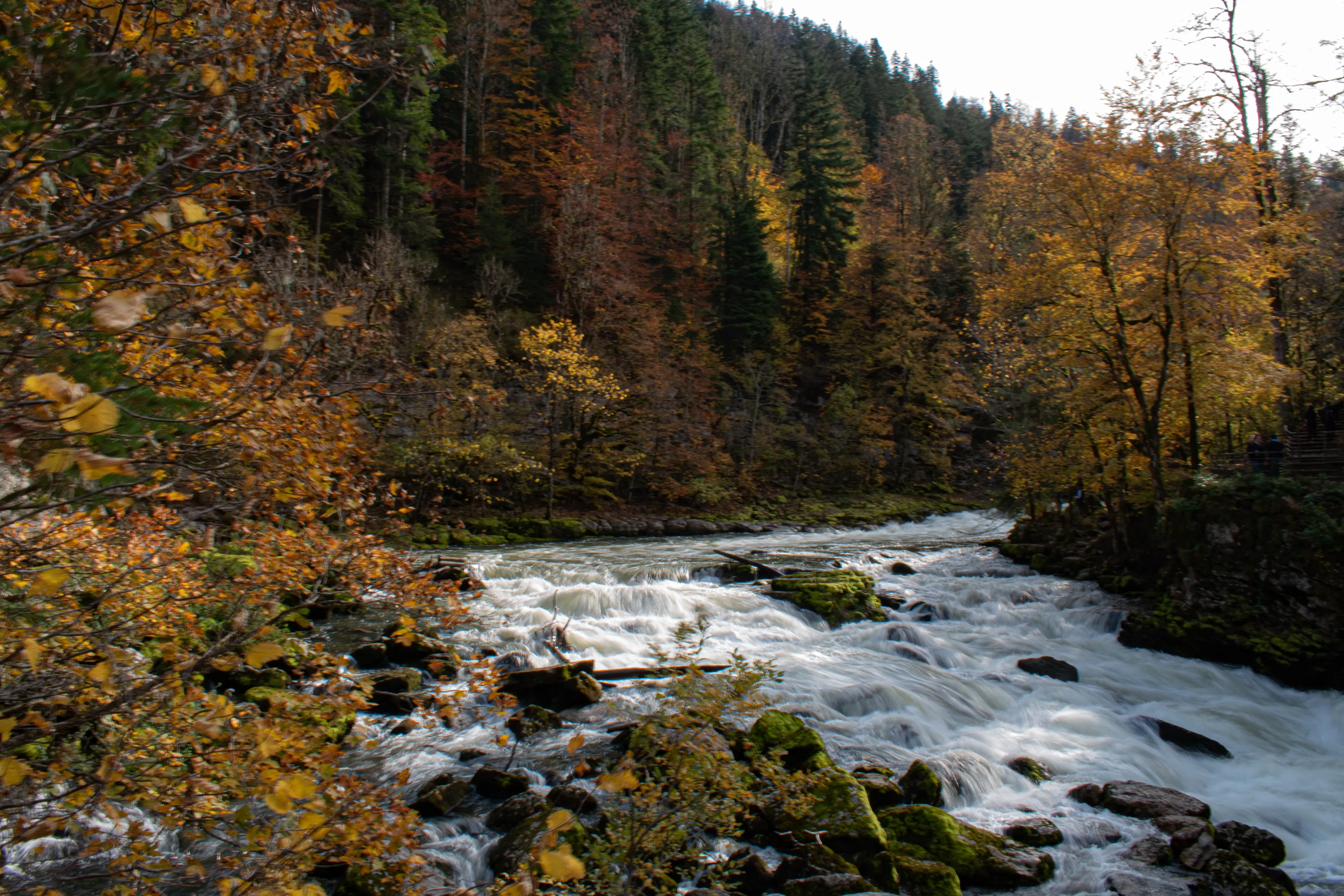 Autumn River