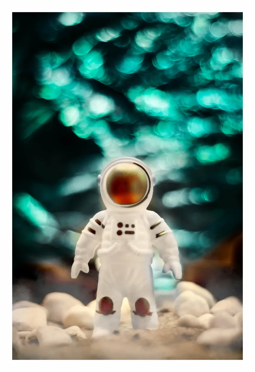 Entry 27010933