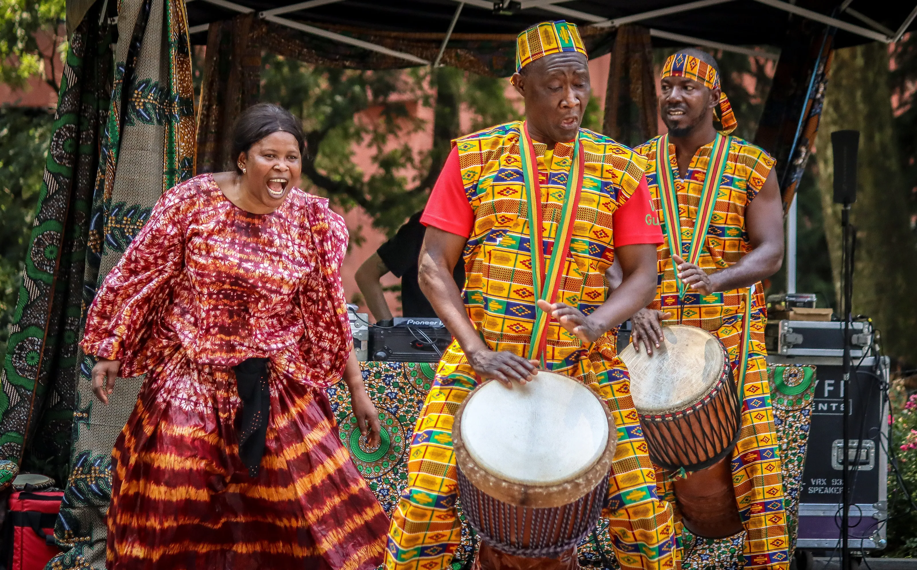 Wild Rhythms of Savannah
