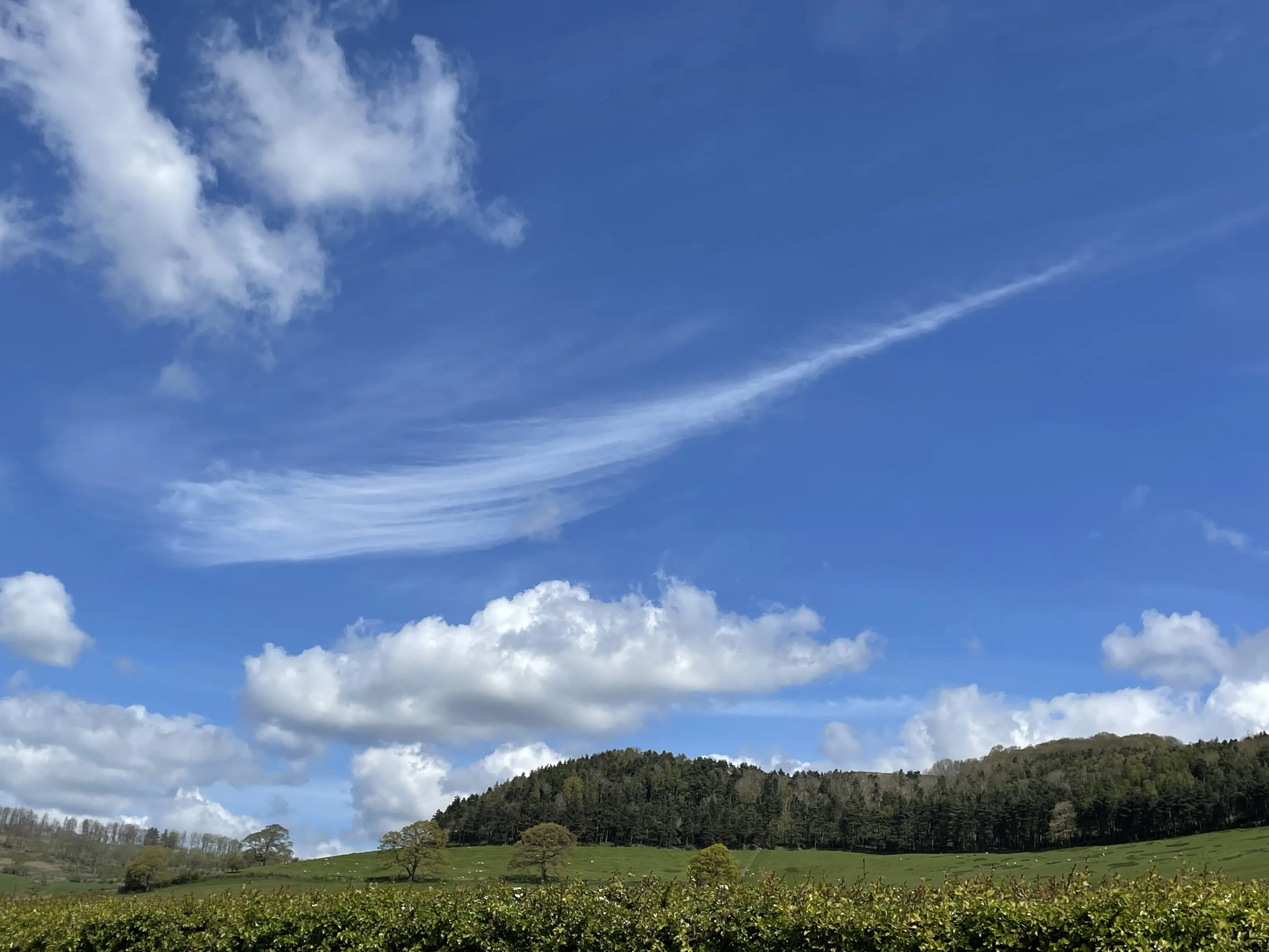 Long Cloud near Builth Wells