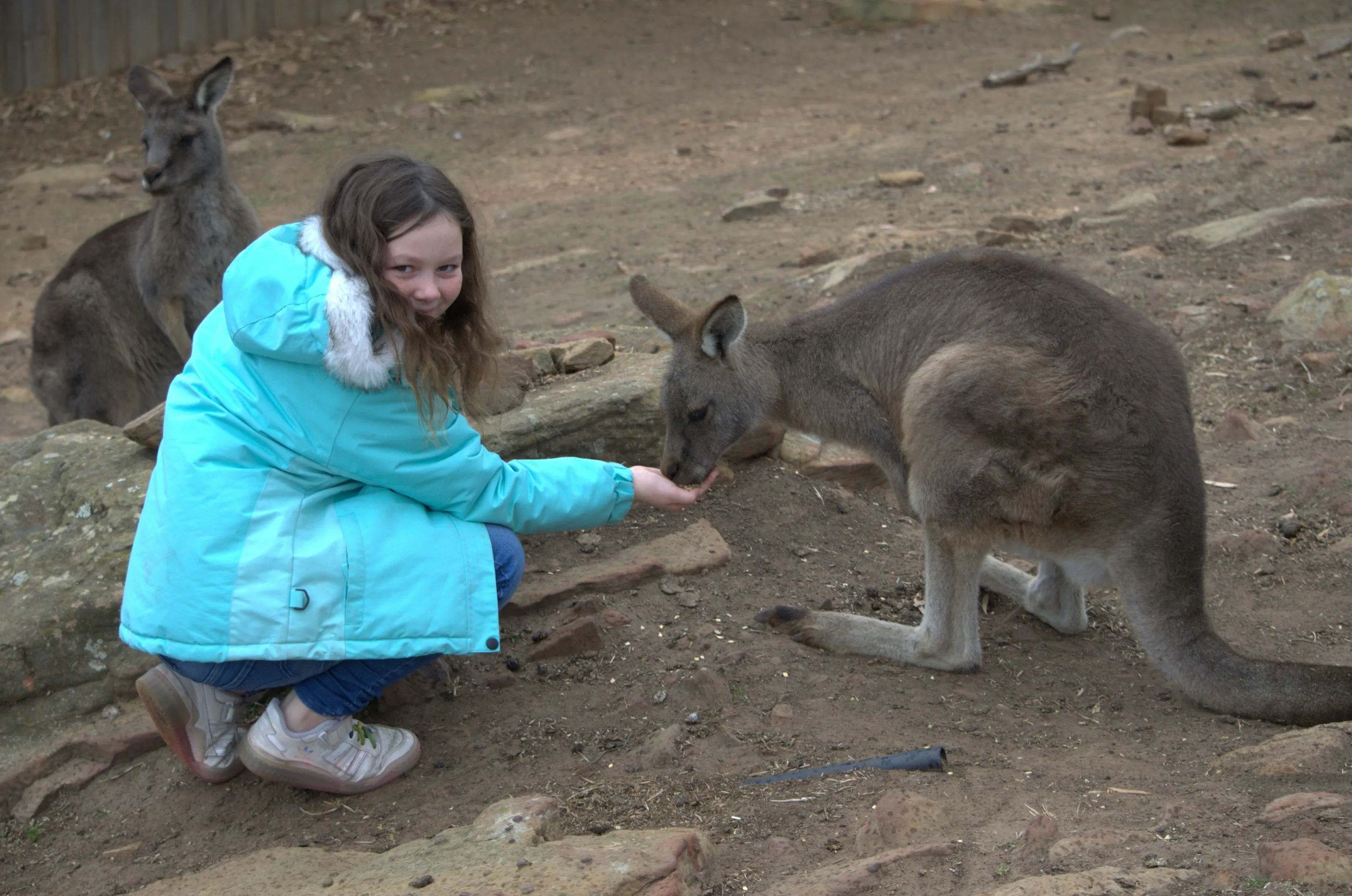 Granddaughter with Forrester Kangaroo