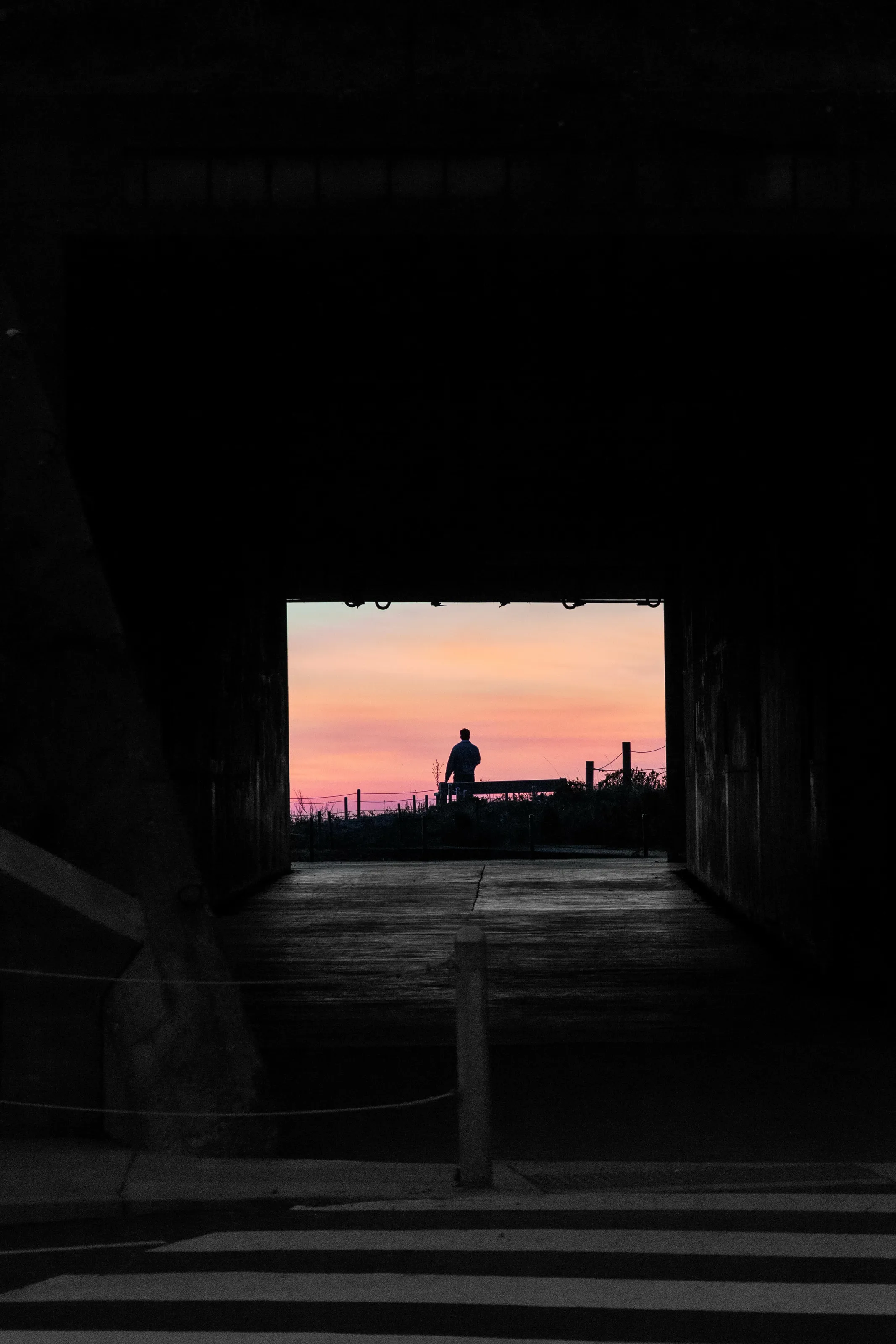 Solitude in the Dusk