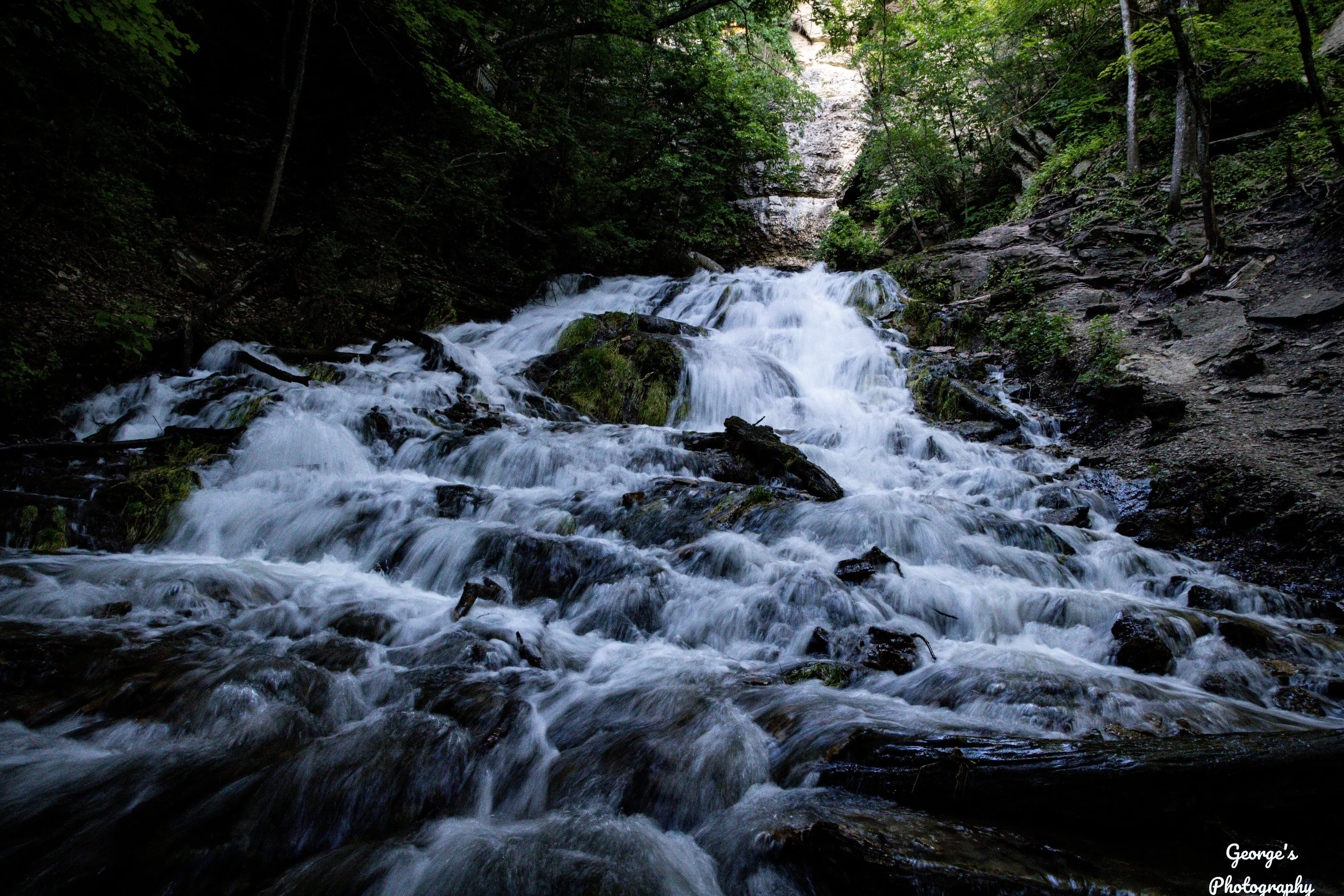 Timeless falls