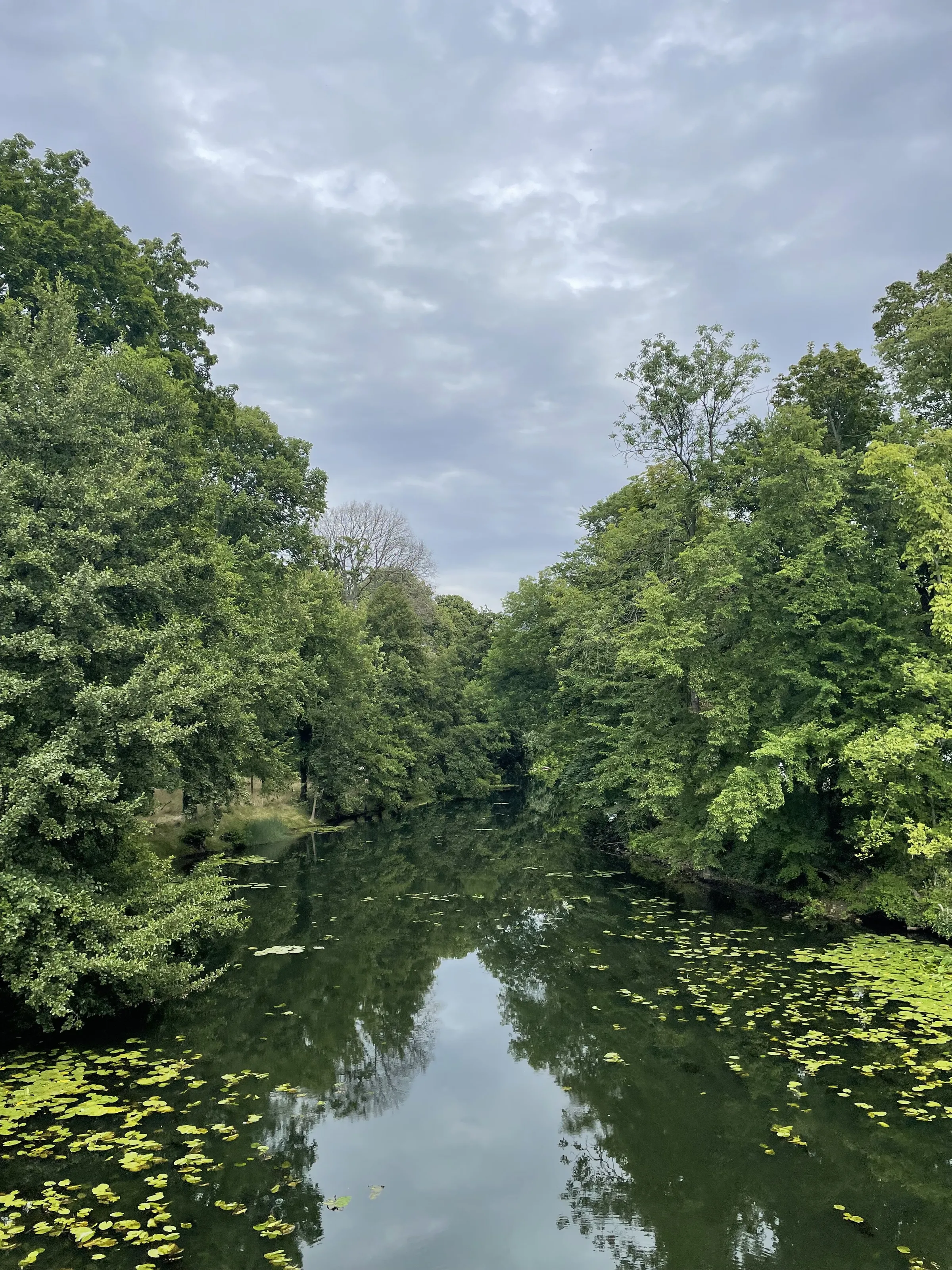 where nature enters