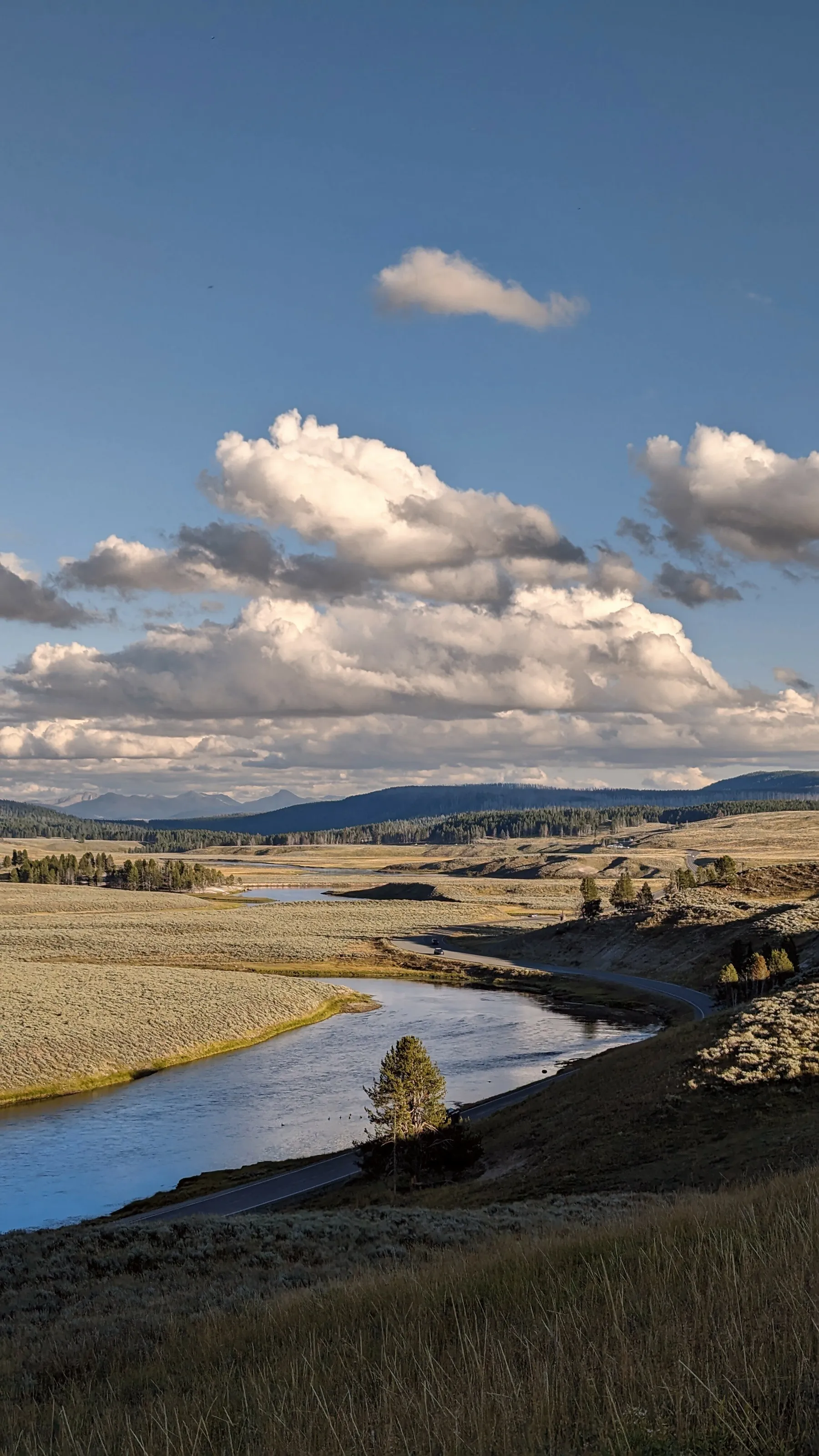 Yellowstone hills