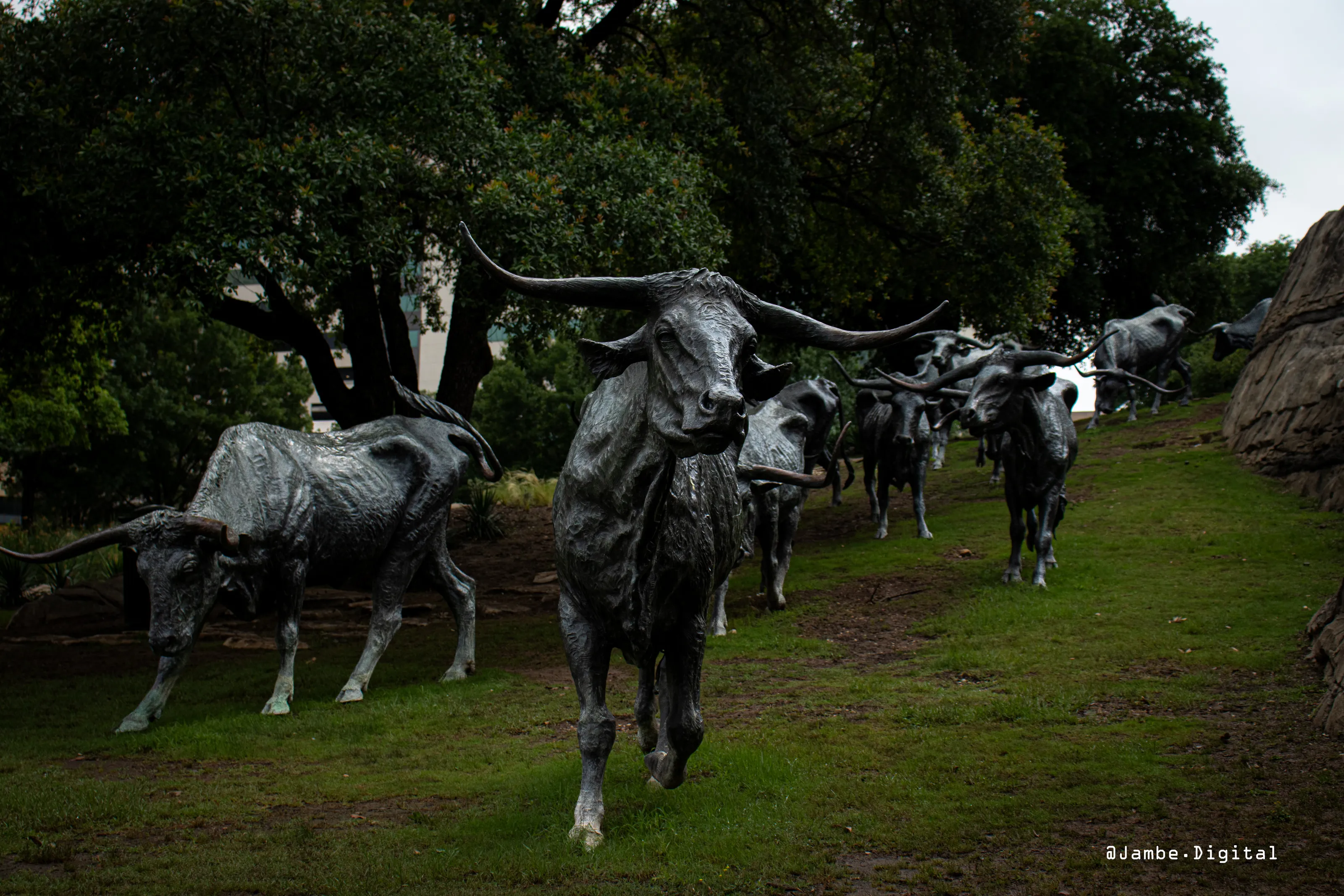 Stampede Through Time