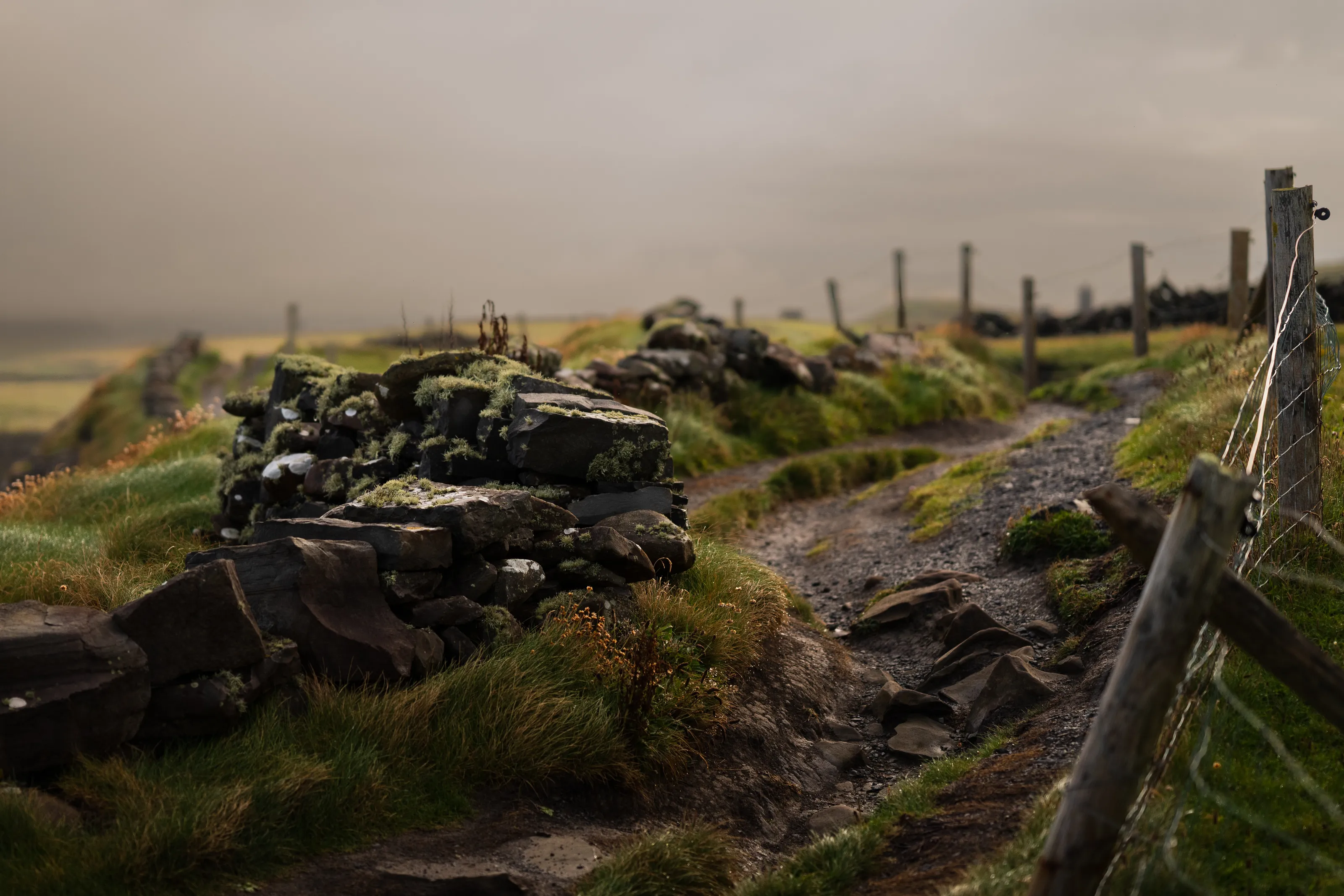 Irish hiking trail
