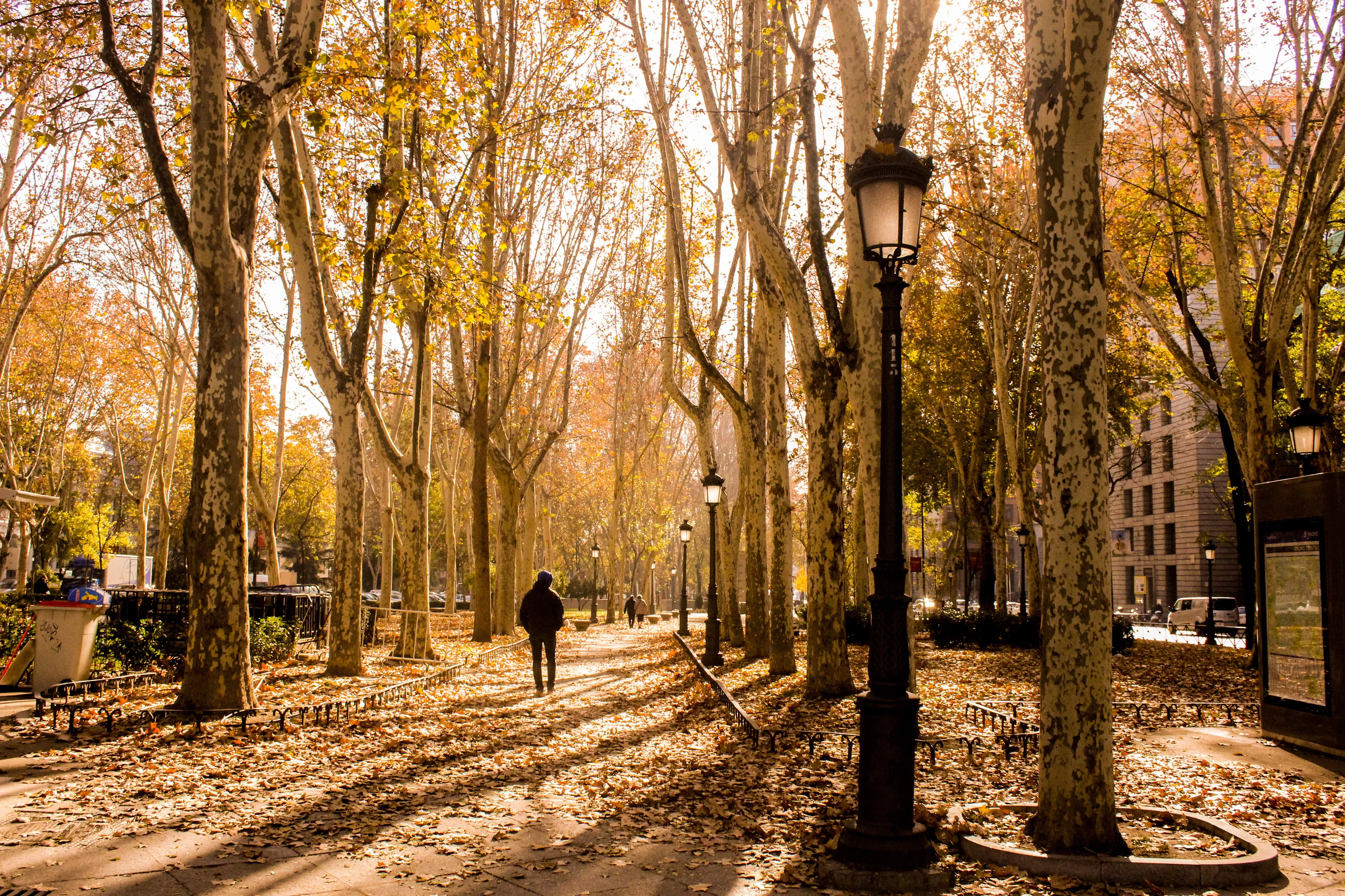 Beautiful Autumn