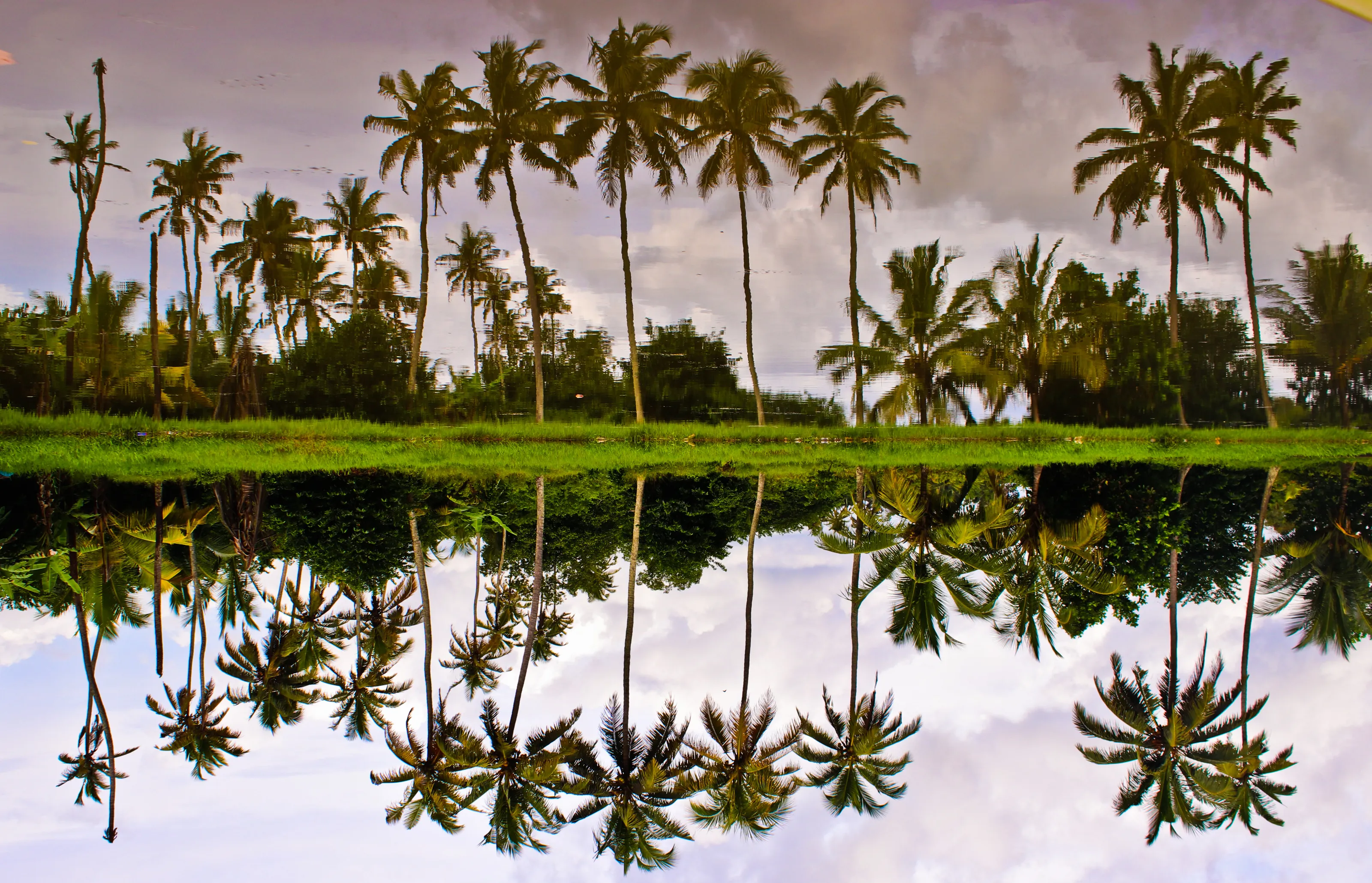 Reflection of The Soul of Nature