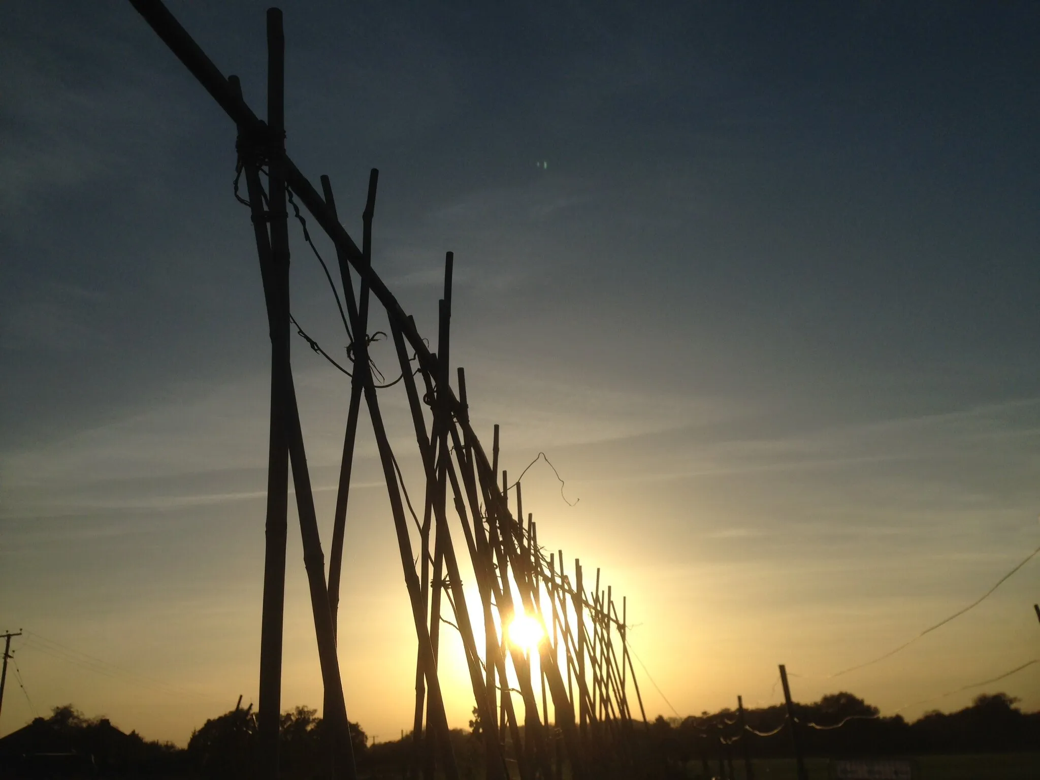 Sunsetting over my allotment