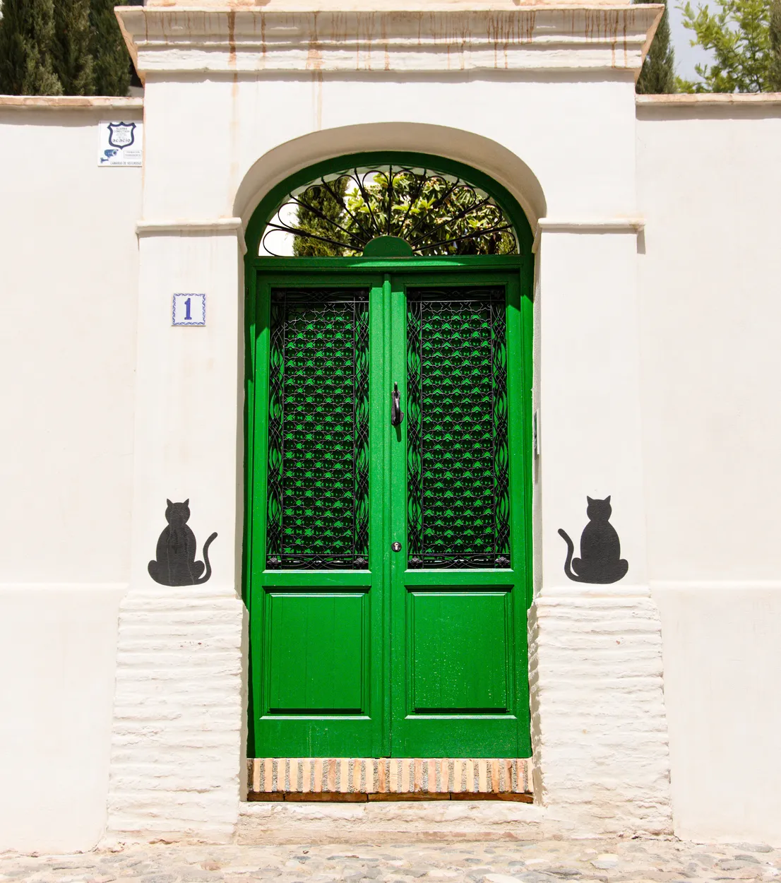 Entry 21061091