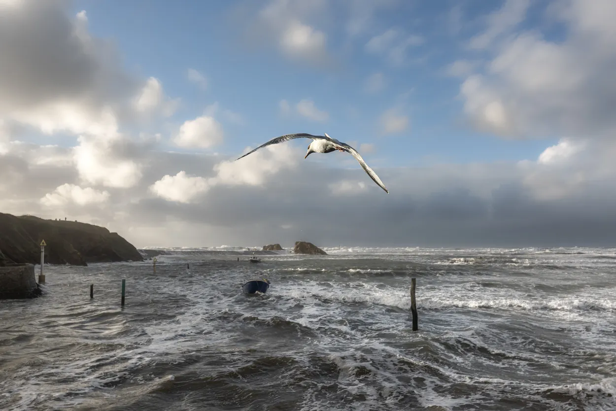 Entry 26307139