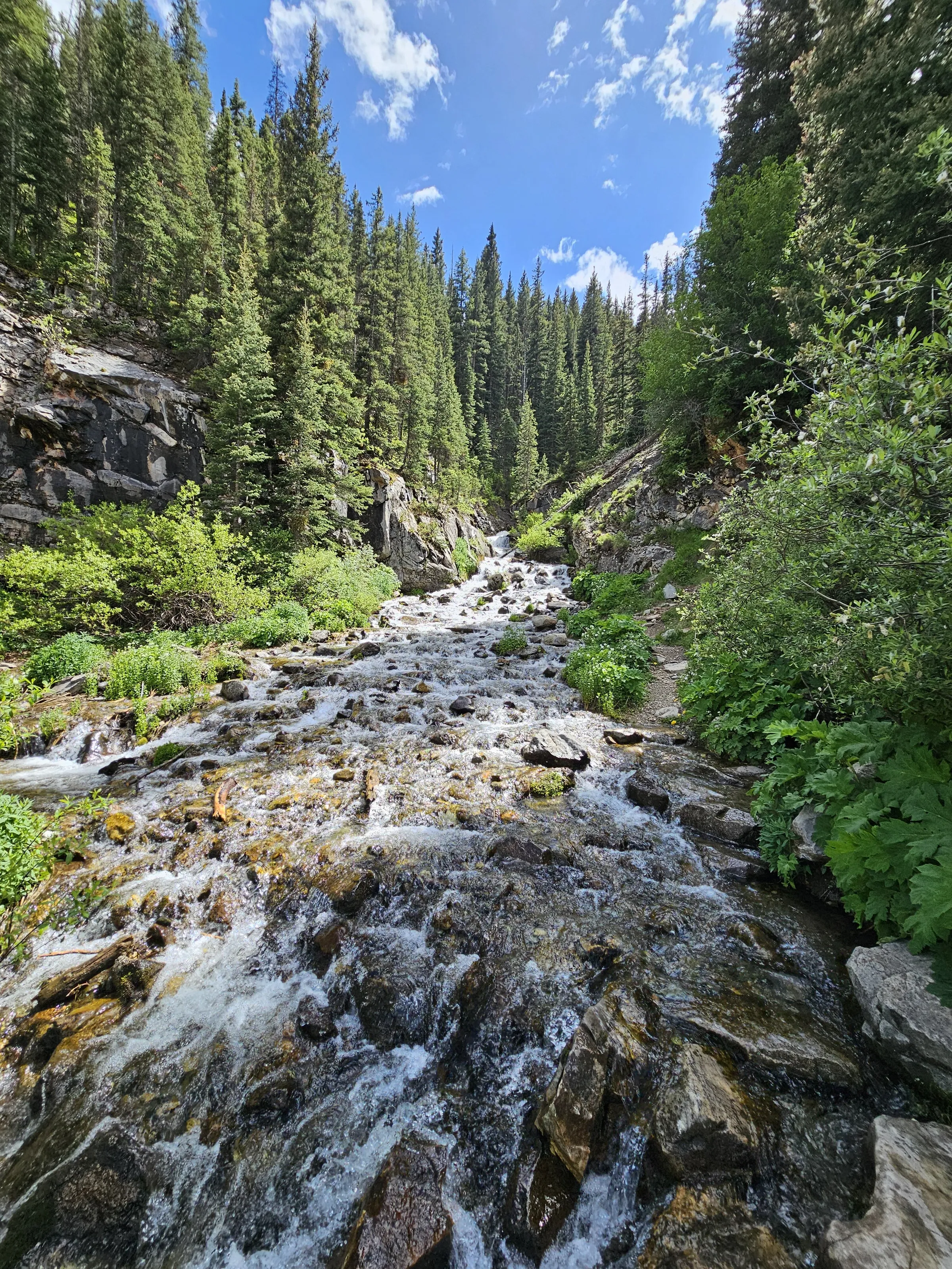 Colorado ⛰️