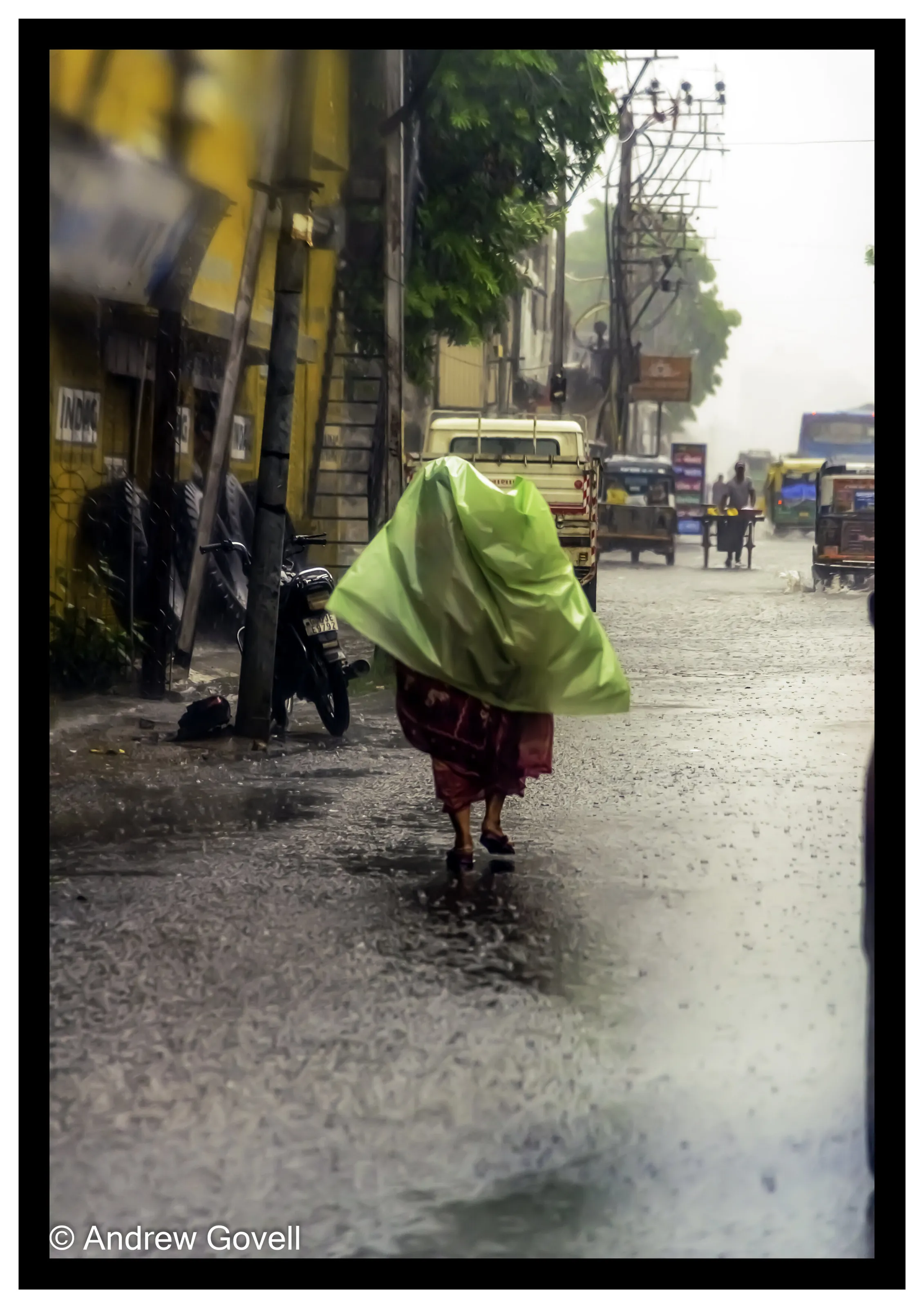 Monsoon Shower
