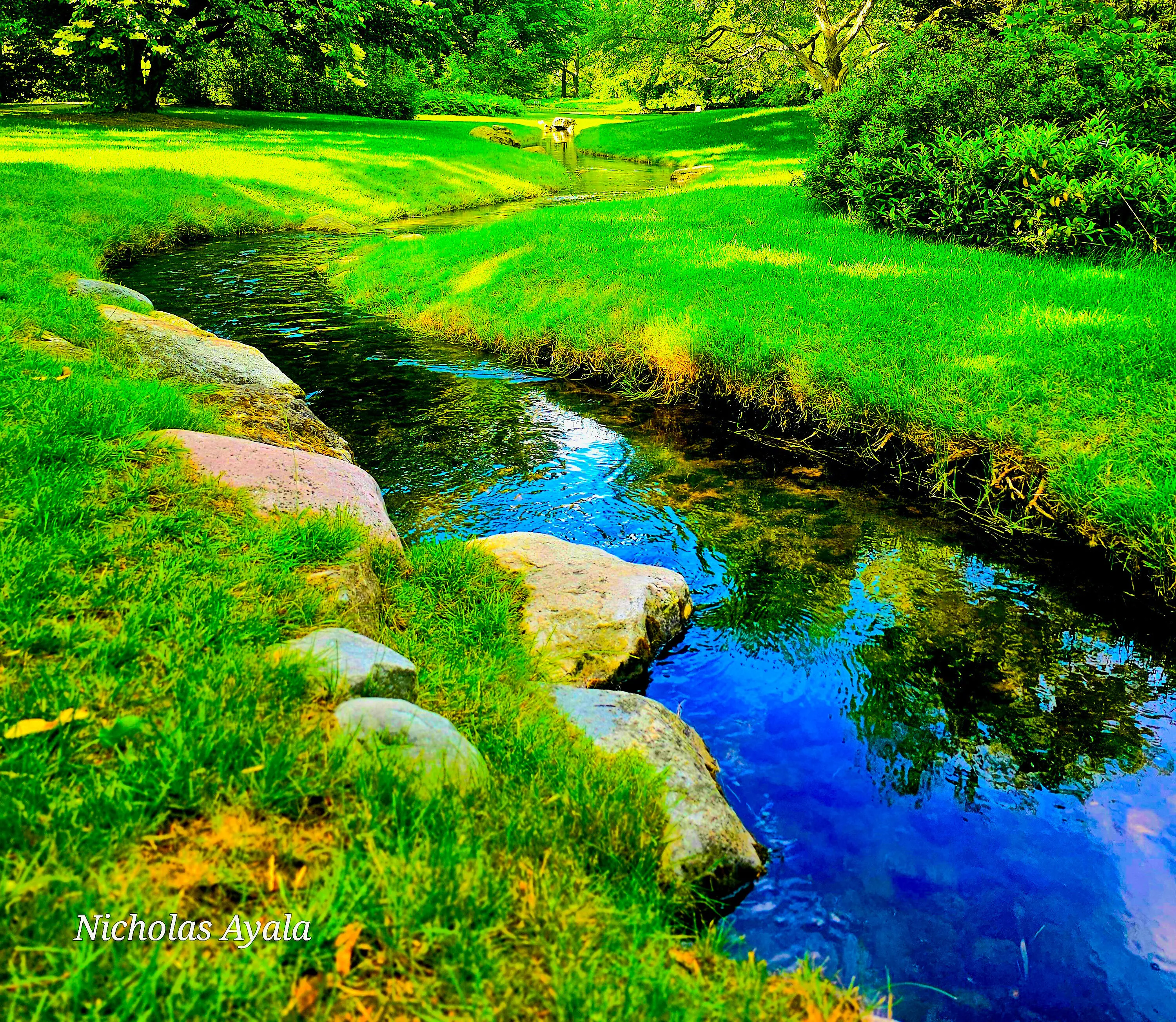 Peaceful Stream