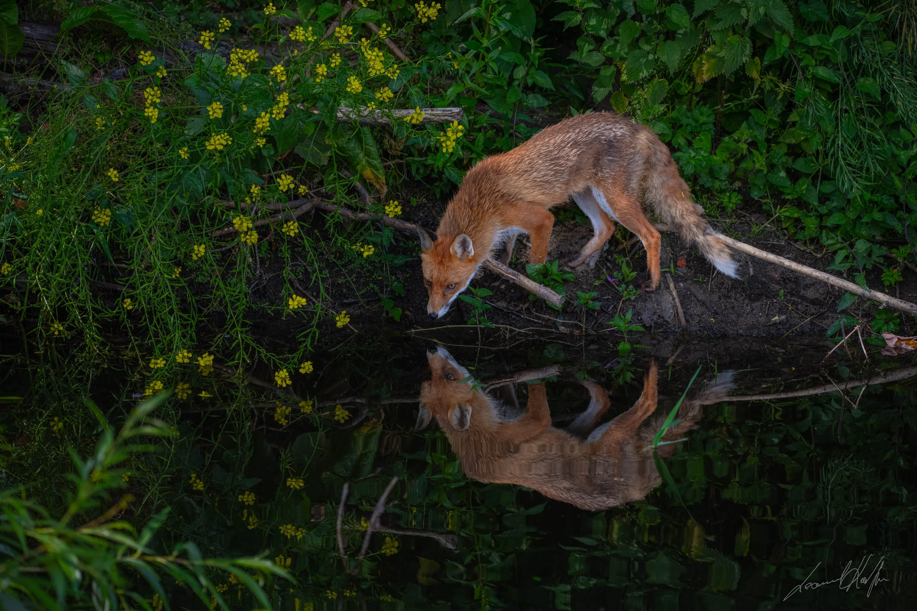 Reflecting on his place in the world