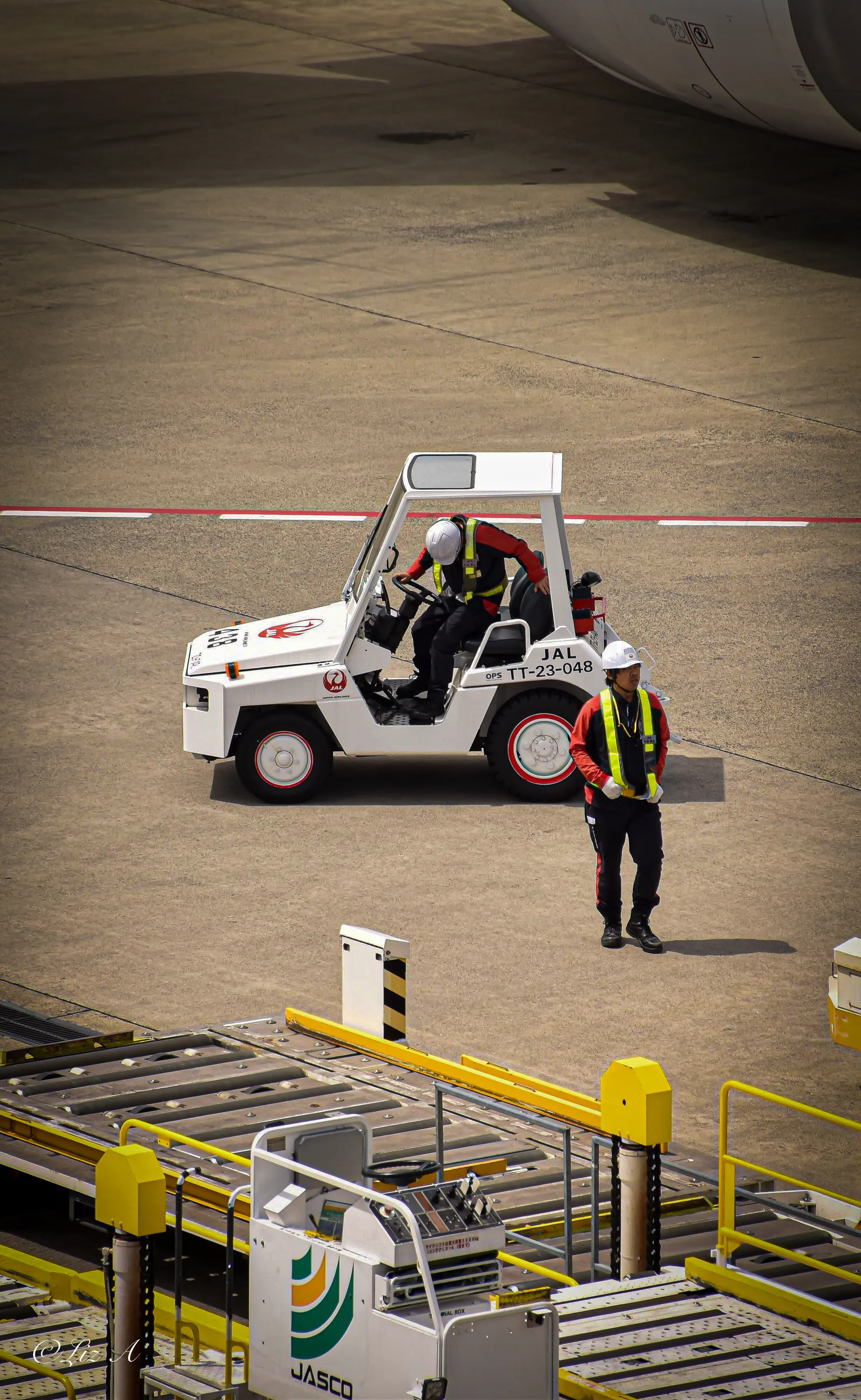Narita airport workers