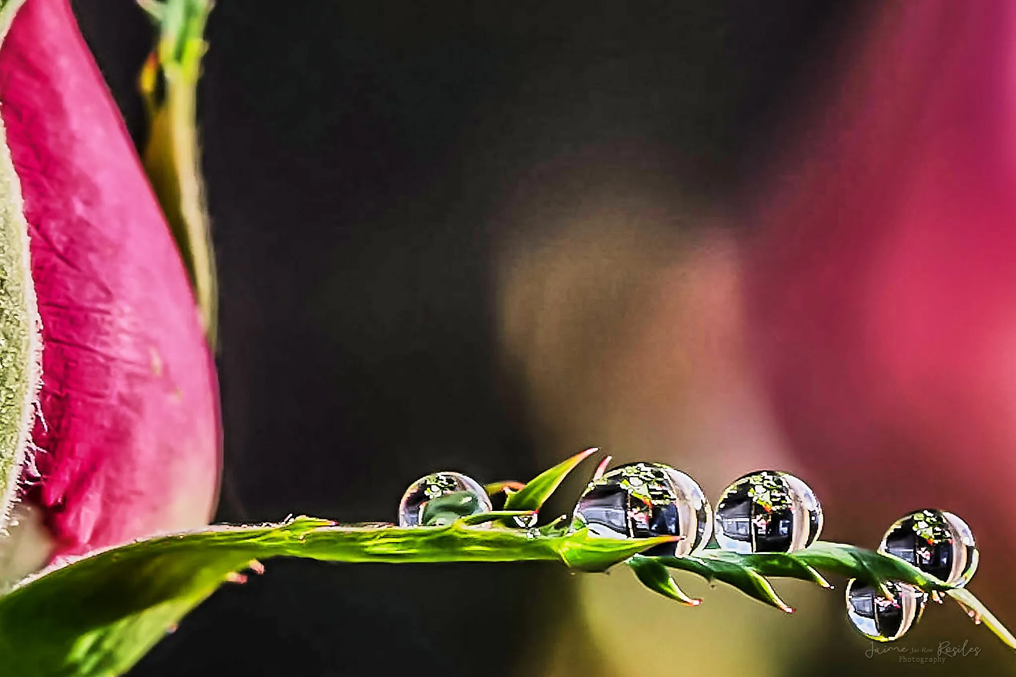 Drops