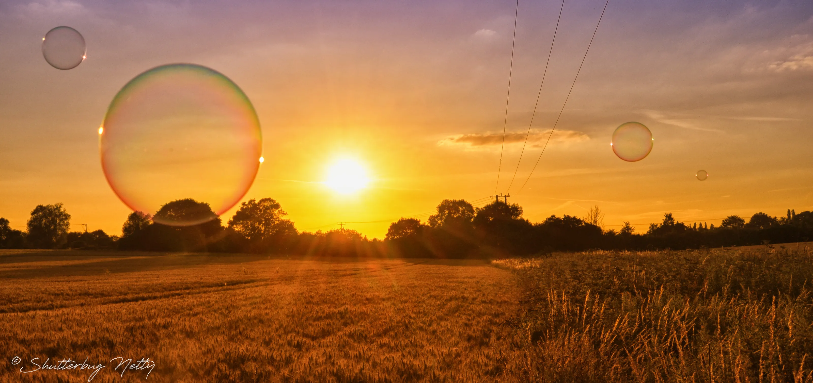 Bubbles at Sunset