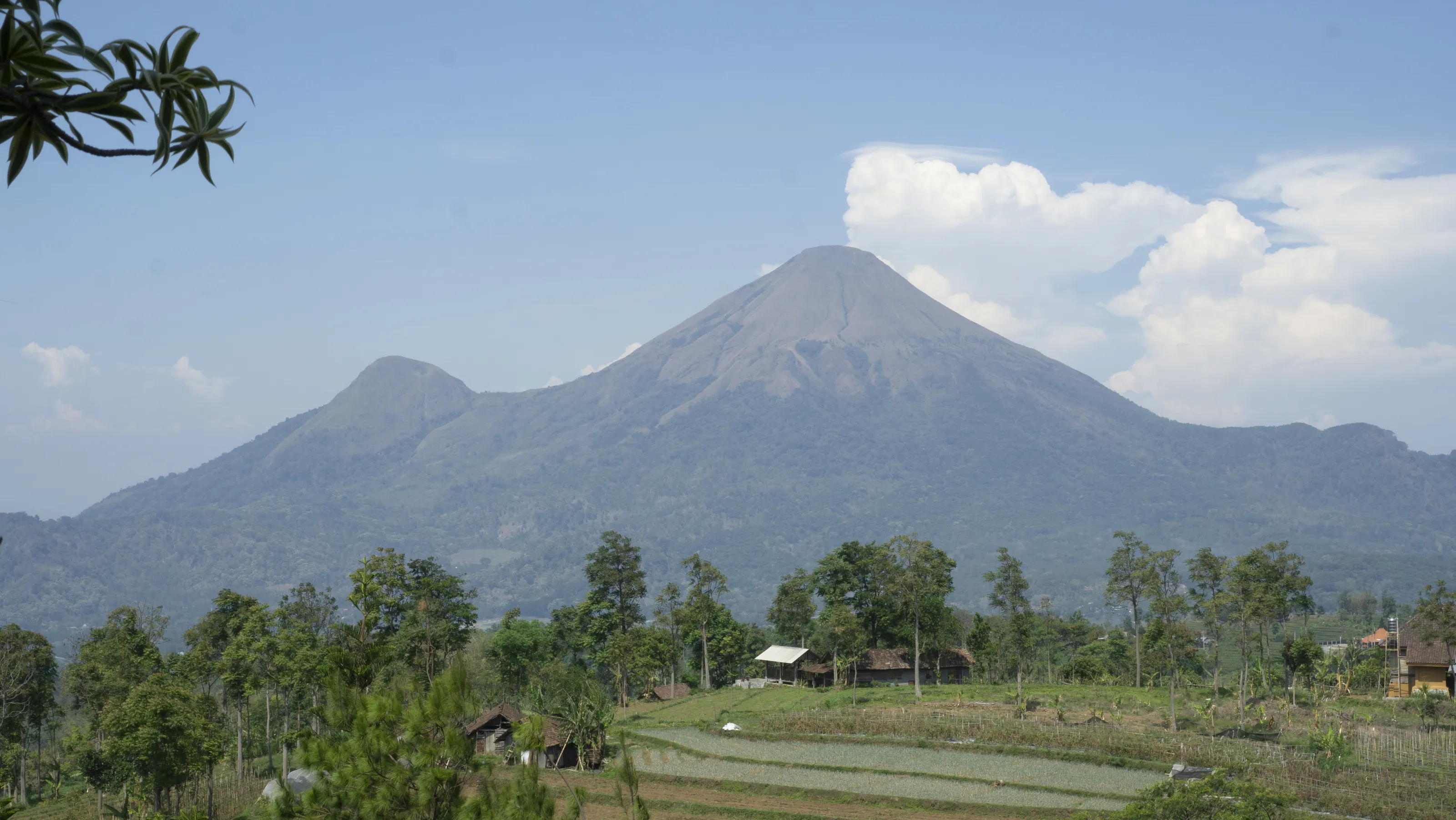 Mountain near Villa Dordia Pacet