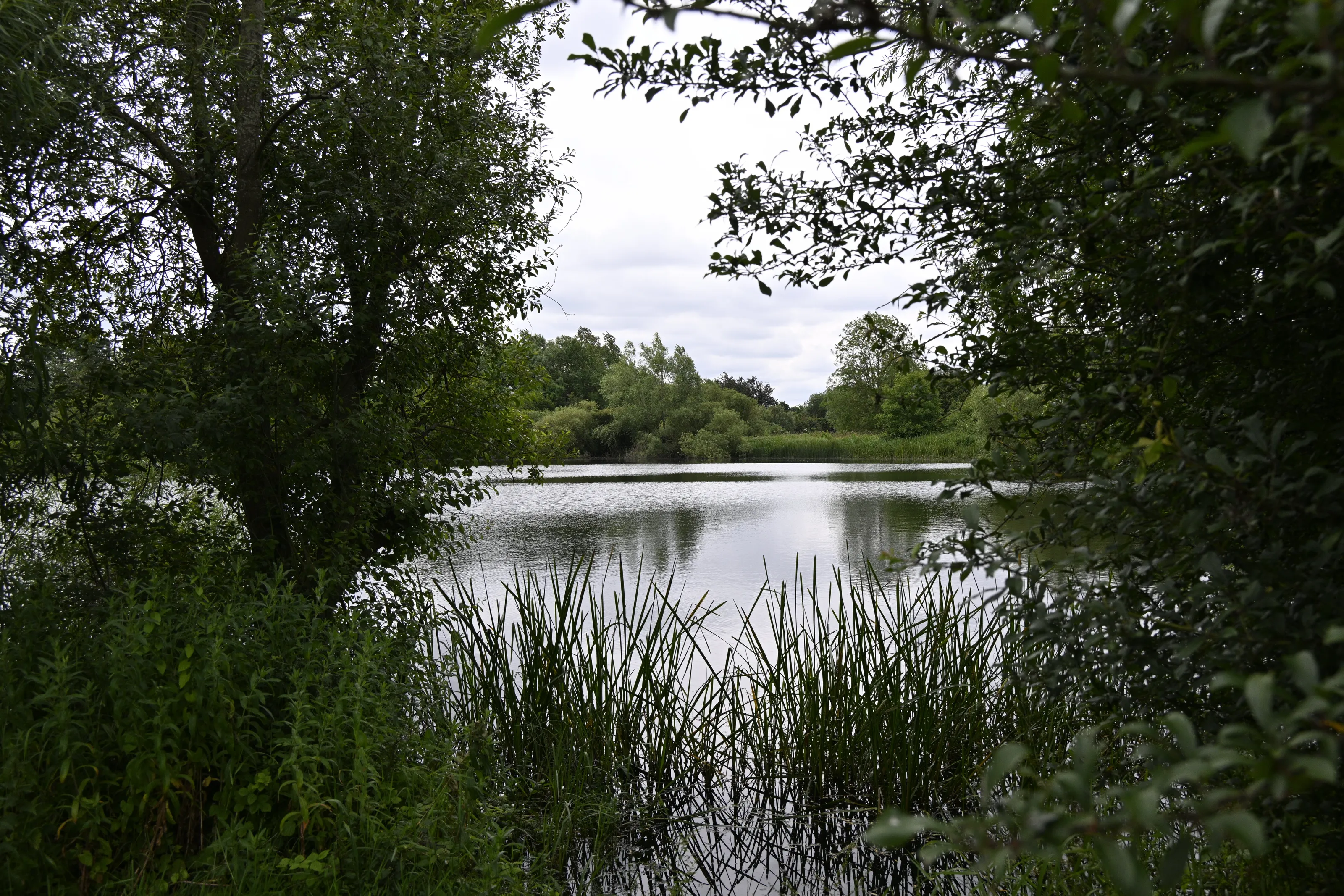 A view across Heron Water, Emberton Country Park