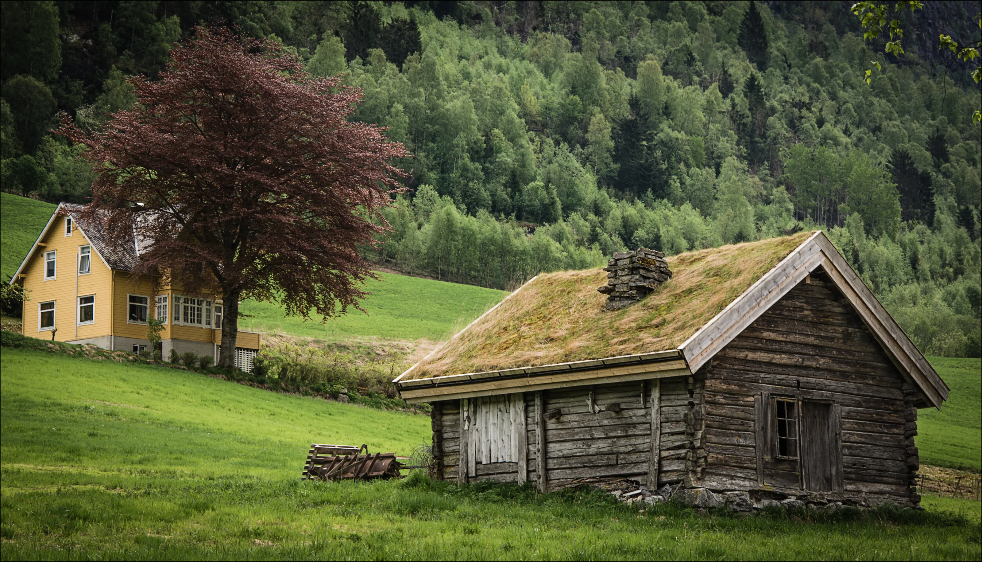 The Old Shepherds hut