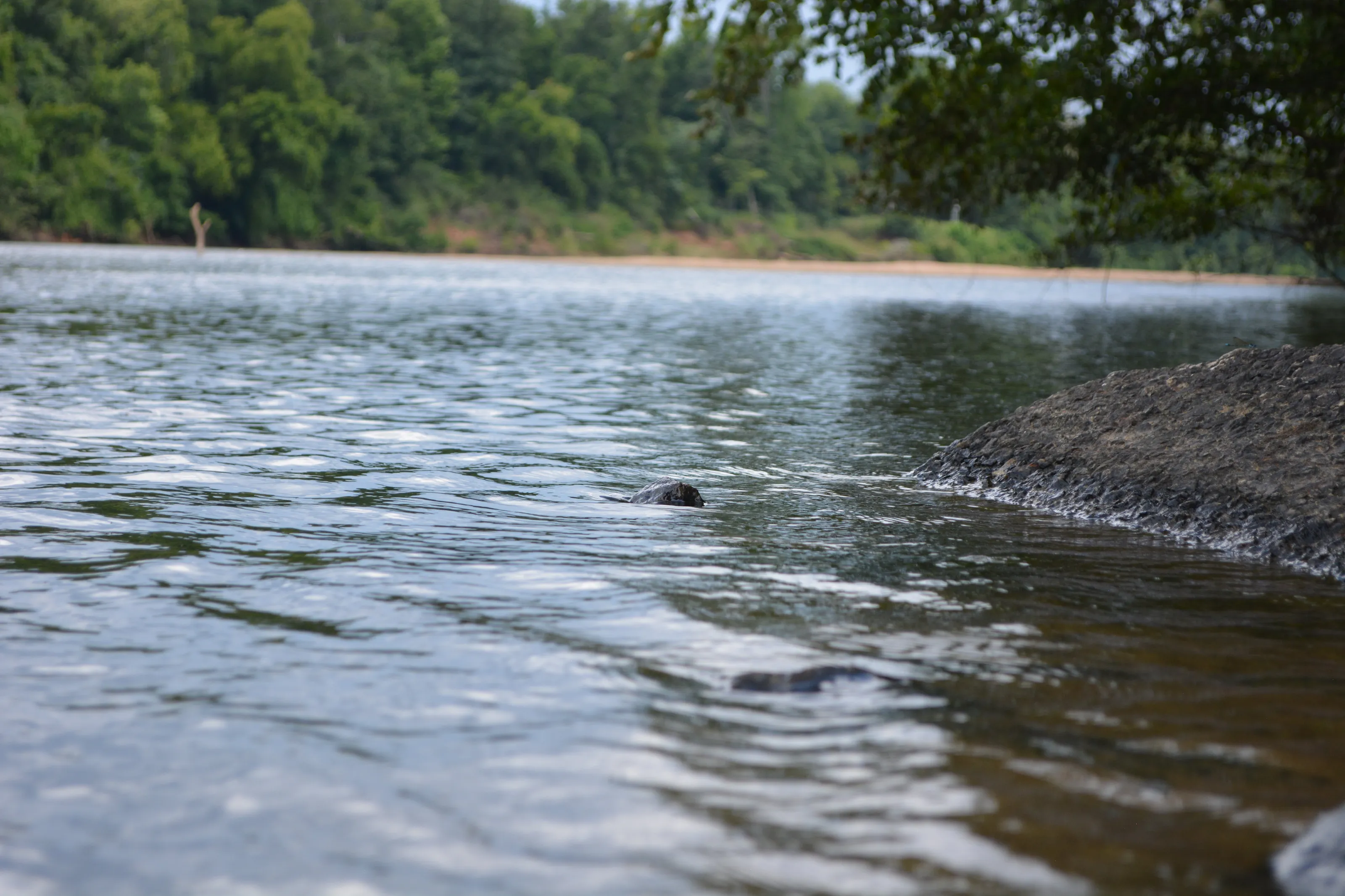 river