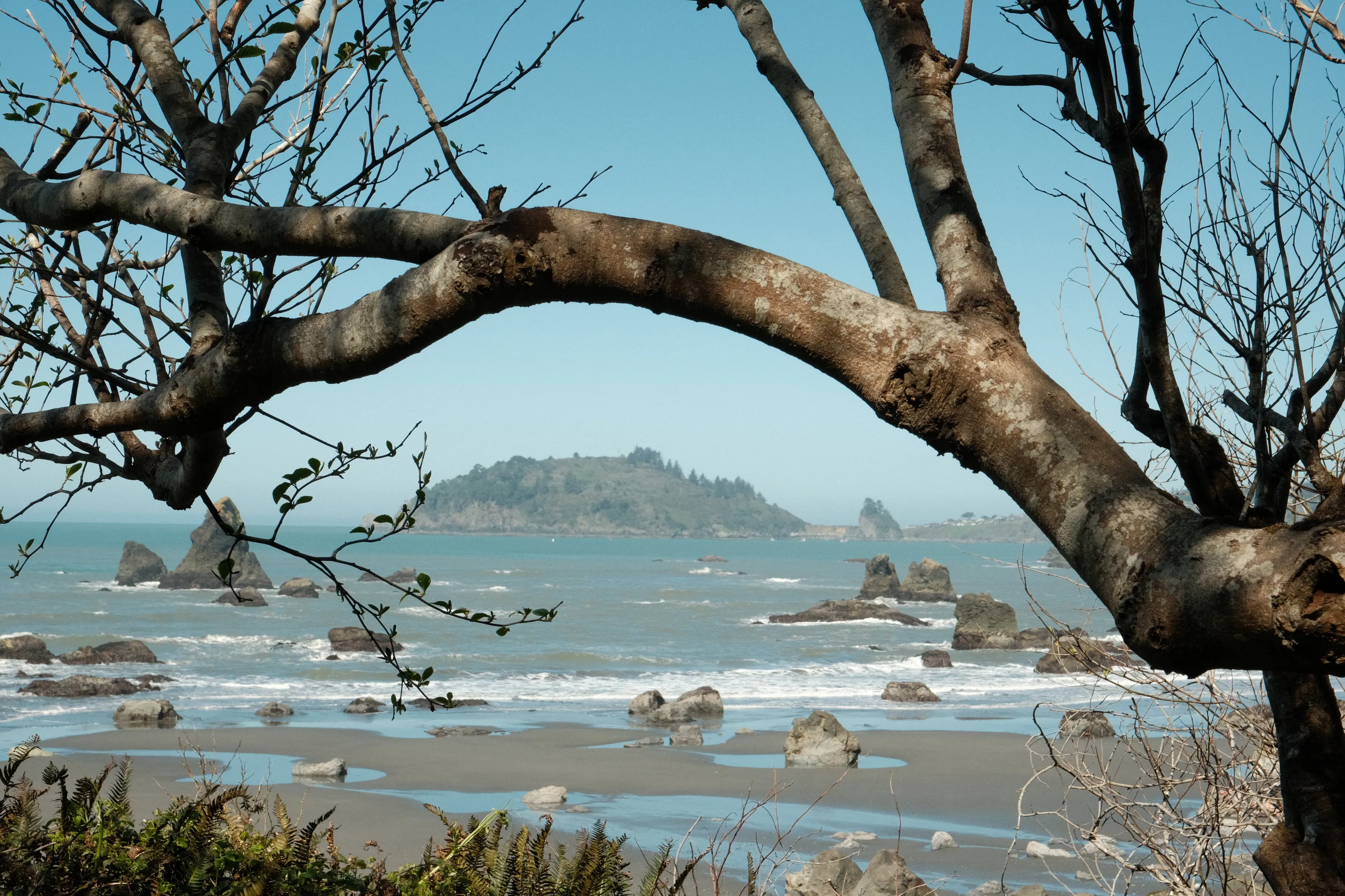 Trinidad