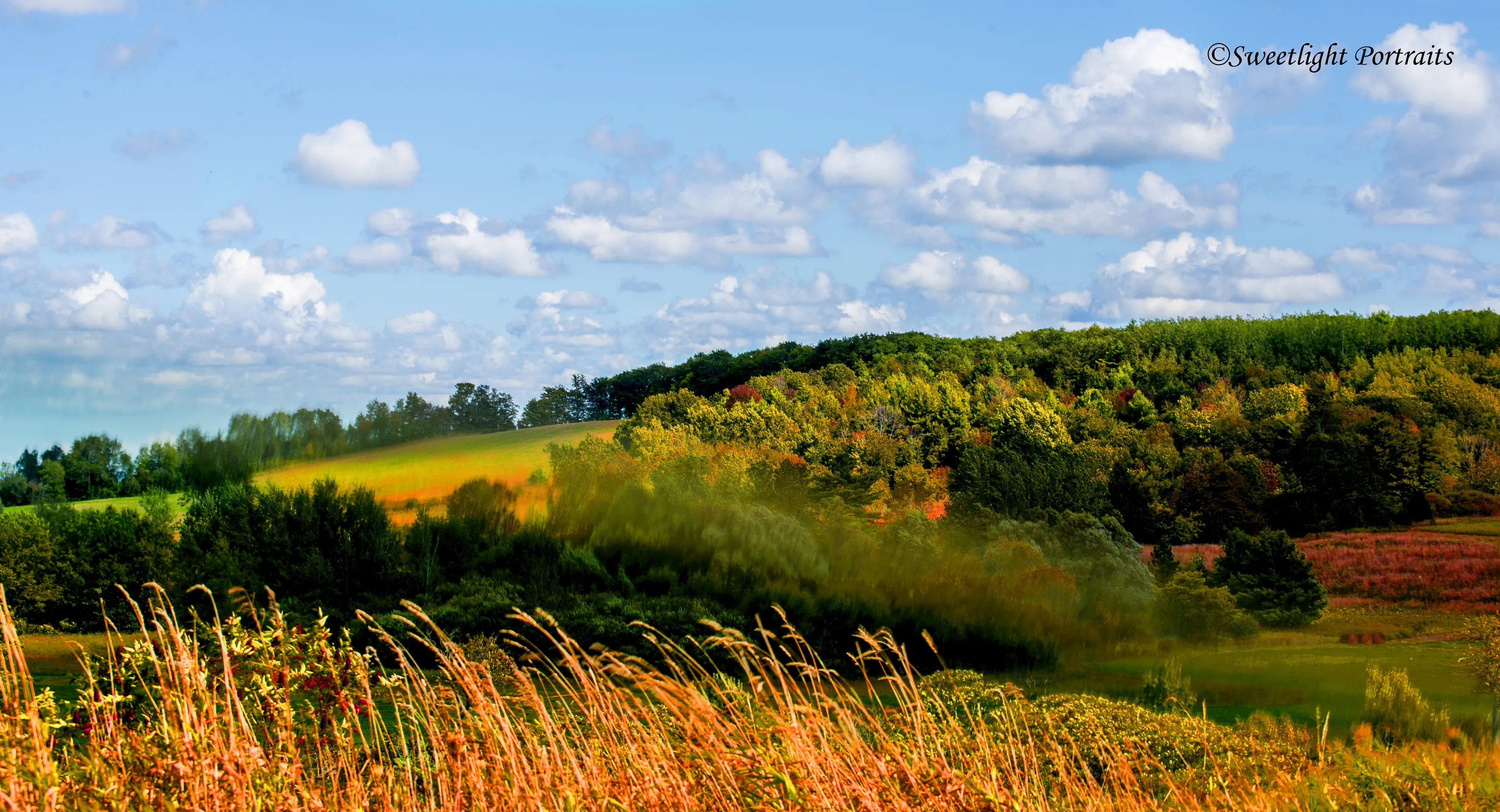 Part of Ontario