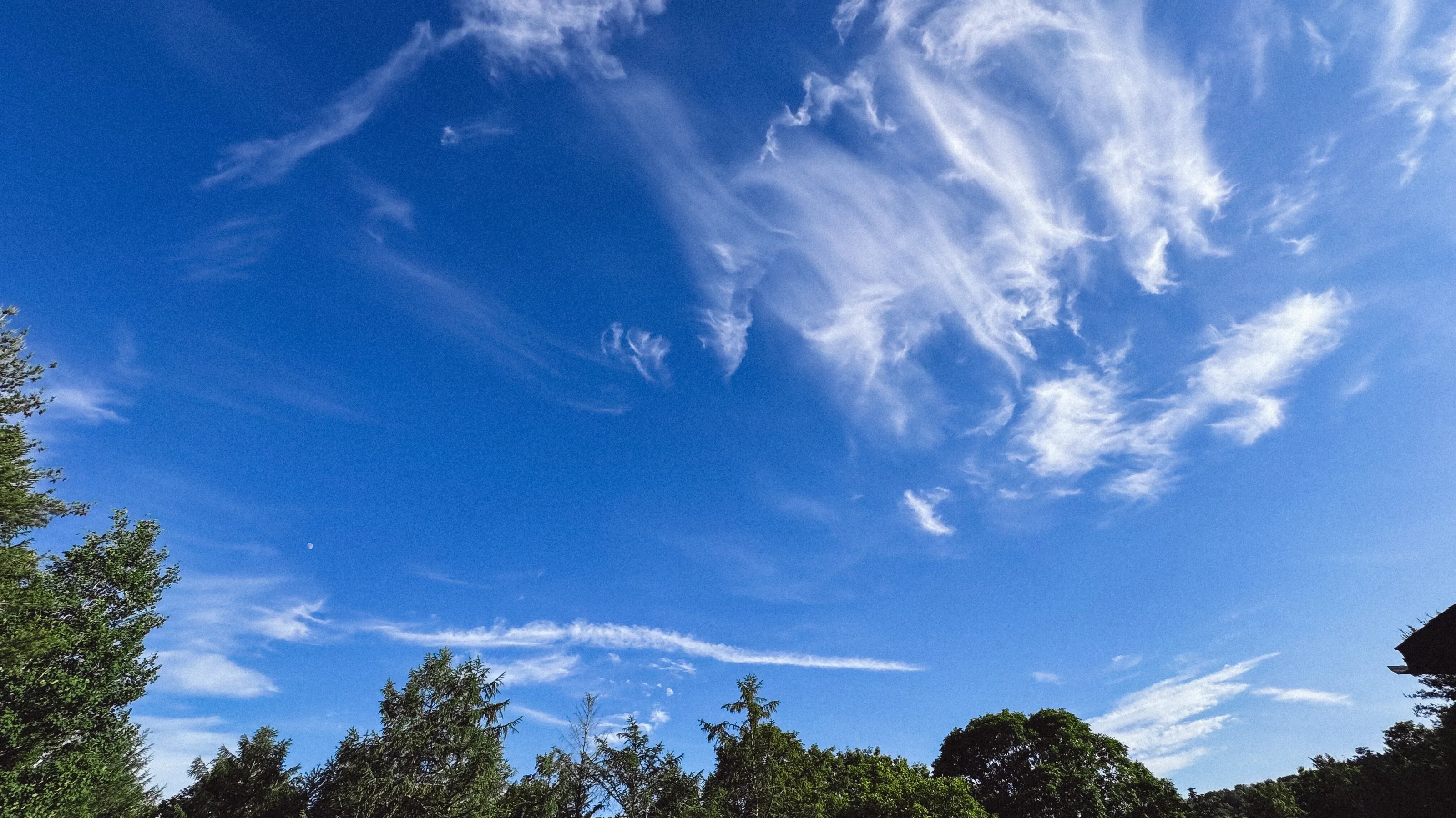 Cloud dragon