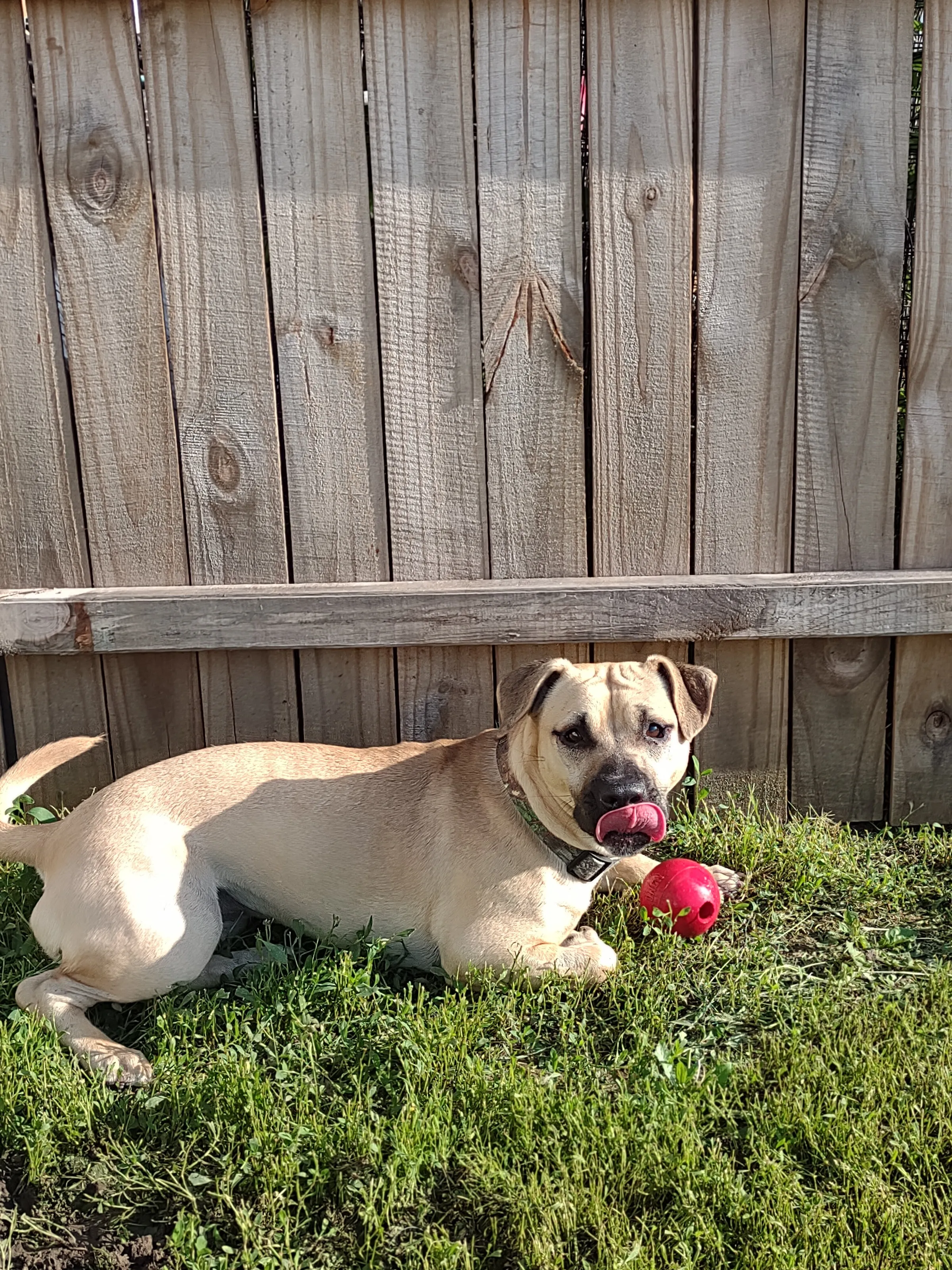 My name's Mazy!!
