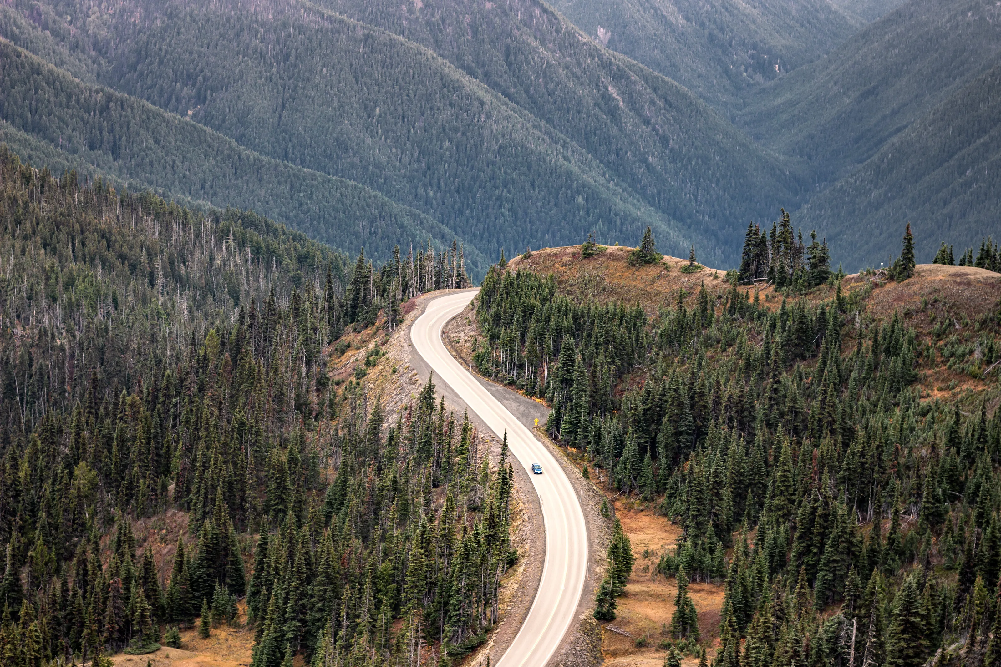 Road Tripping